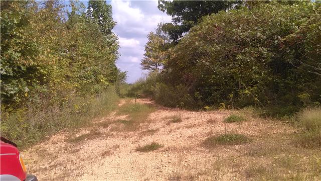 0 Mt Pleasant Cem Road Primm Springs, TN 38476 - Photo 6 of 10 ROAD OR DRIVEWAY LEADING TO THE PROPERTY