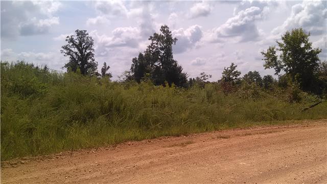 0 Mt Pleasant Cem Road Primm Springs, TN 38476 - Photo 9 of 10 DIRT SURFACE ROAD BY THE PROPERTY