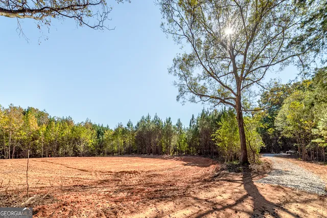 a view of backyard with green space