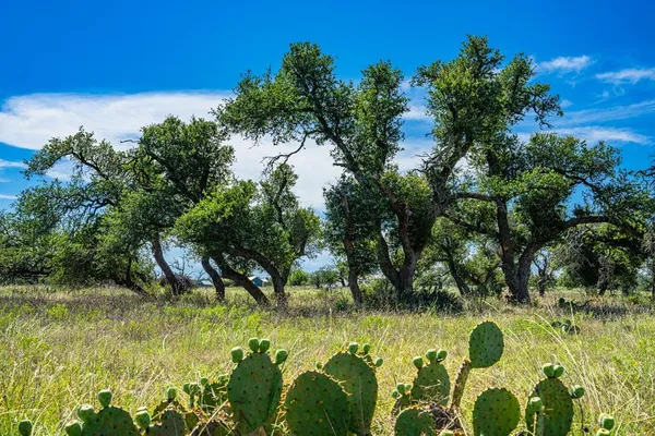 $240,000 | Lot 4 Old Harper Road, Unit 4, Harper, TX 78631