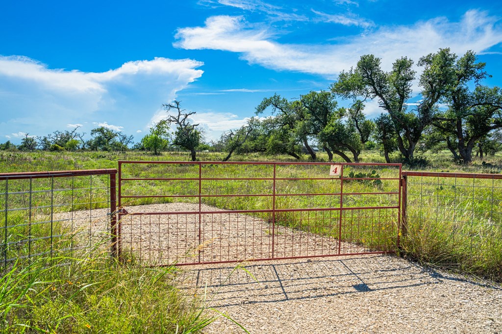 Lot 4 Old Harper Road, Unit 4 Harper, TX 78631 - Photo 2 of 10
