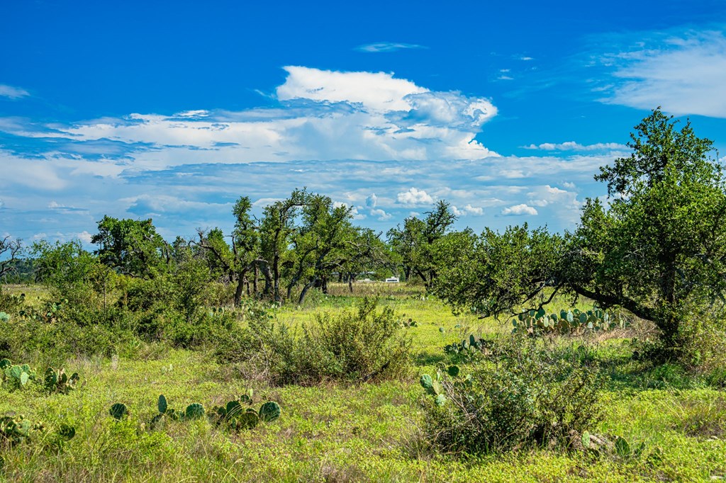Lot 4 Old Harper Road, Unit 4 Harper, TX 78631 - Photo 4 of 10