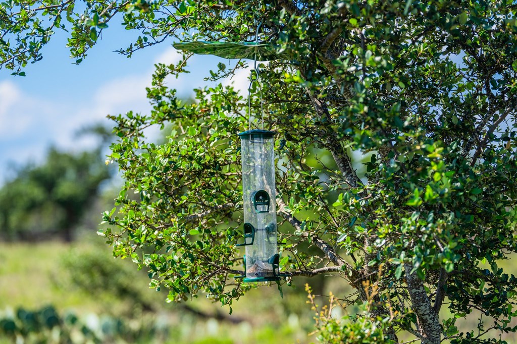 Lot 4 Old Harper Road, Unit 4 Harper, TX 78631 - Photo 9 of 10