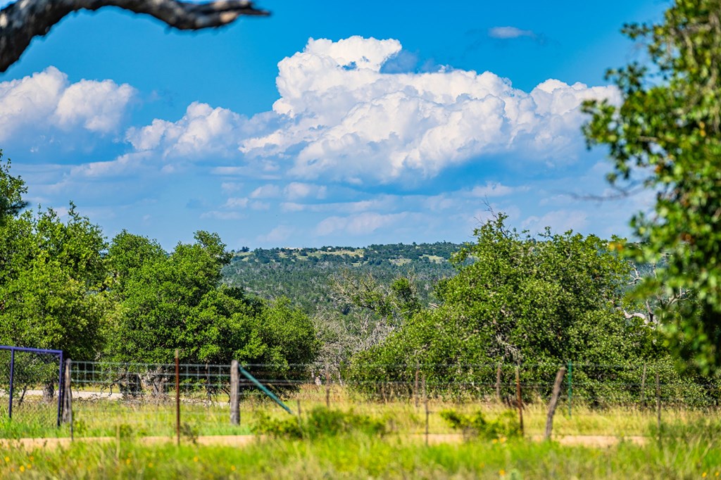 Lot 4 Old Harper Road, Unit 4 Harper, TX 78631 - Photo 10 of 10