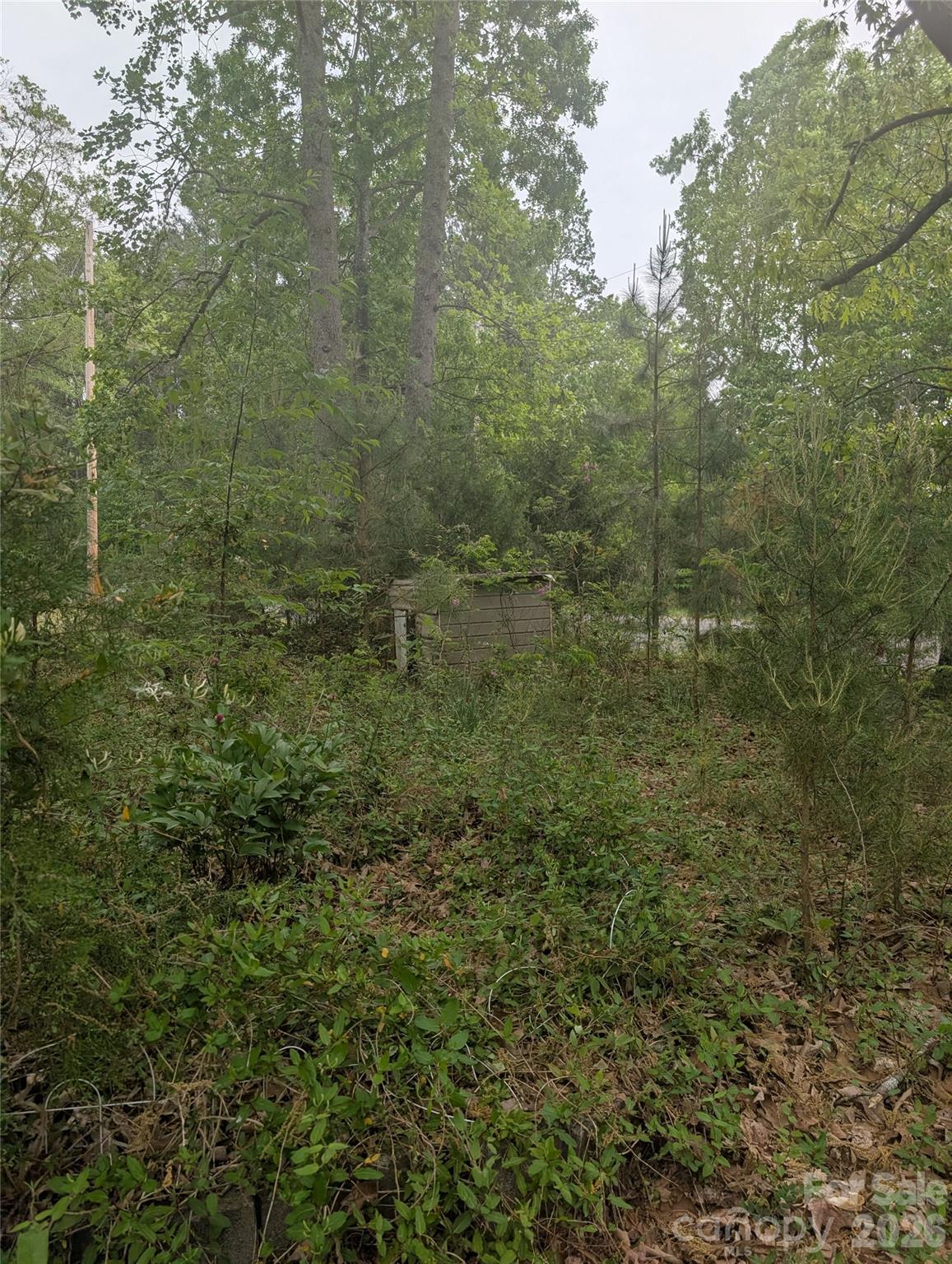 1908 Rock Hollar Road Stanley, NC 28164 - Photo 10 of 13