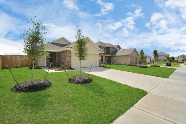 a view of a backyard with a garden and plants