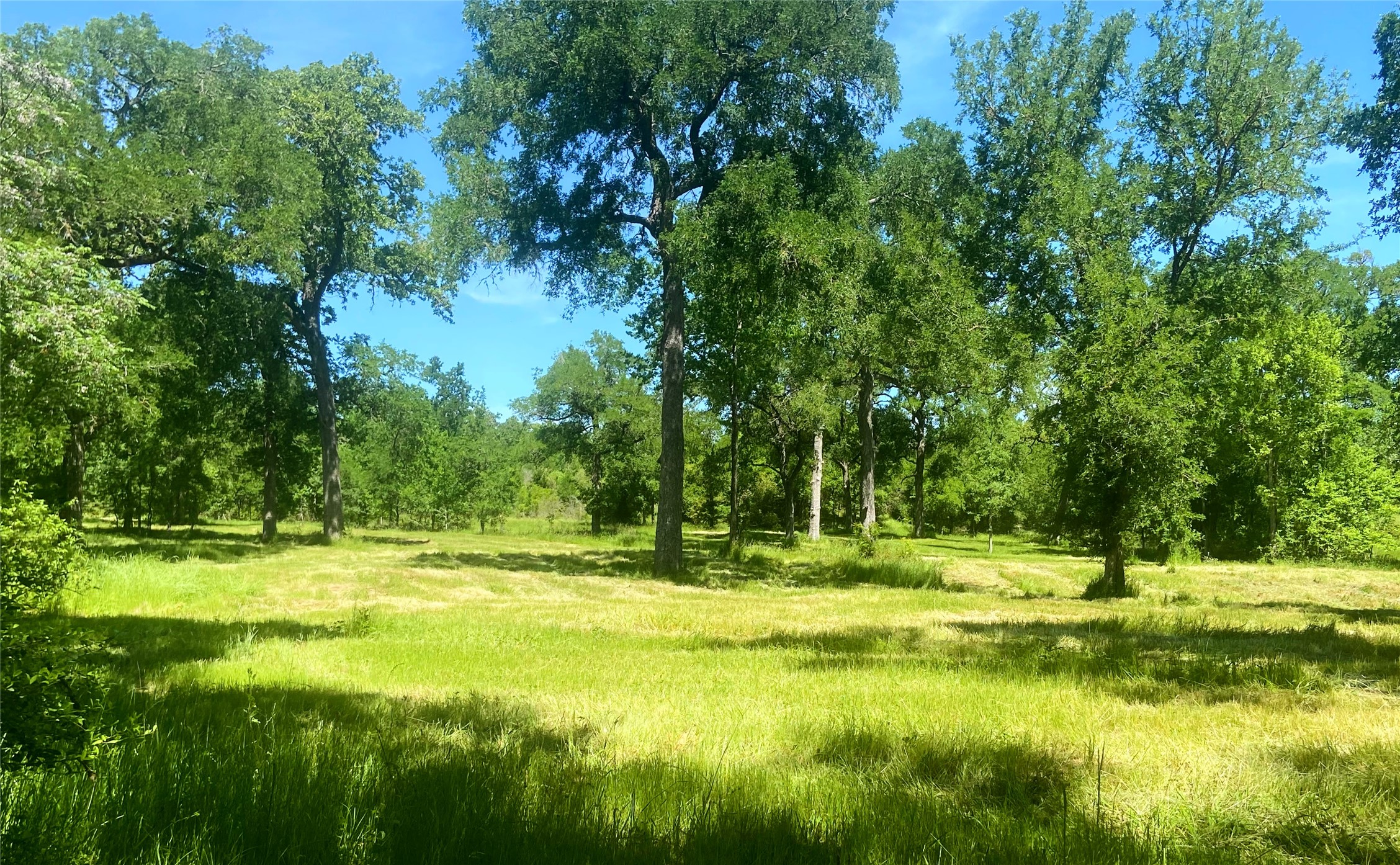 1373 Lower Elgin Road Elgin, TX 78621 - Photo 1 of 1 Lush rolling pastures with mature trees