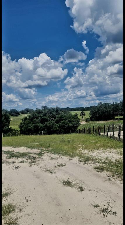 562 Libby Road Babson Park, FL 33827 - Photo 26 of 42
