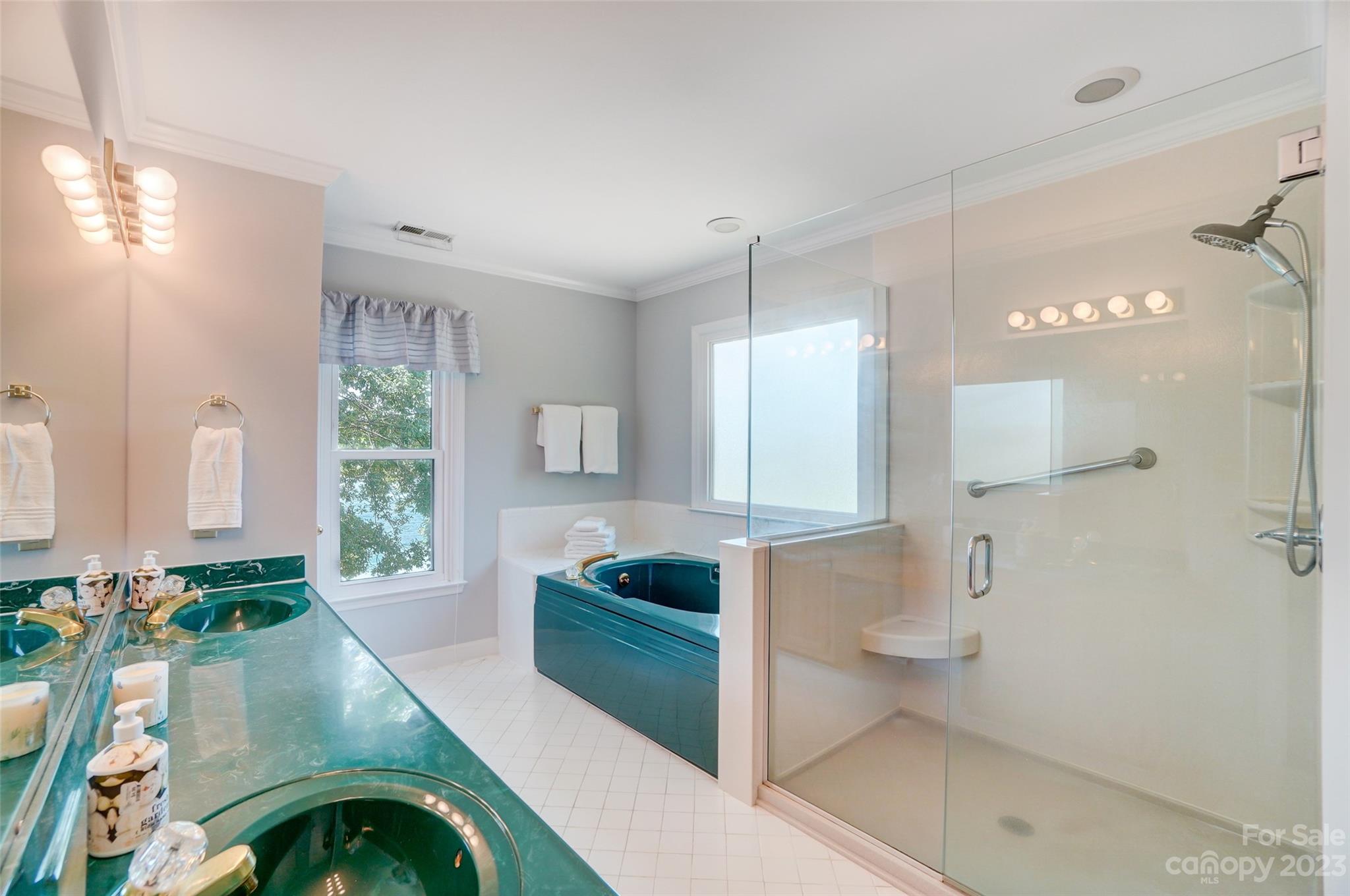 29025 Beaver Run Tega Cay, SC 29708 - Photo 22 of 42