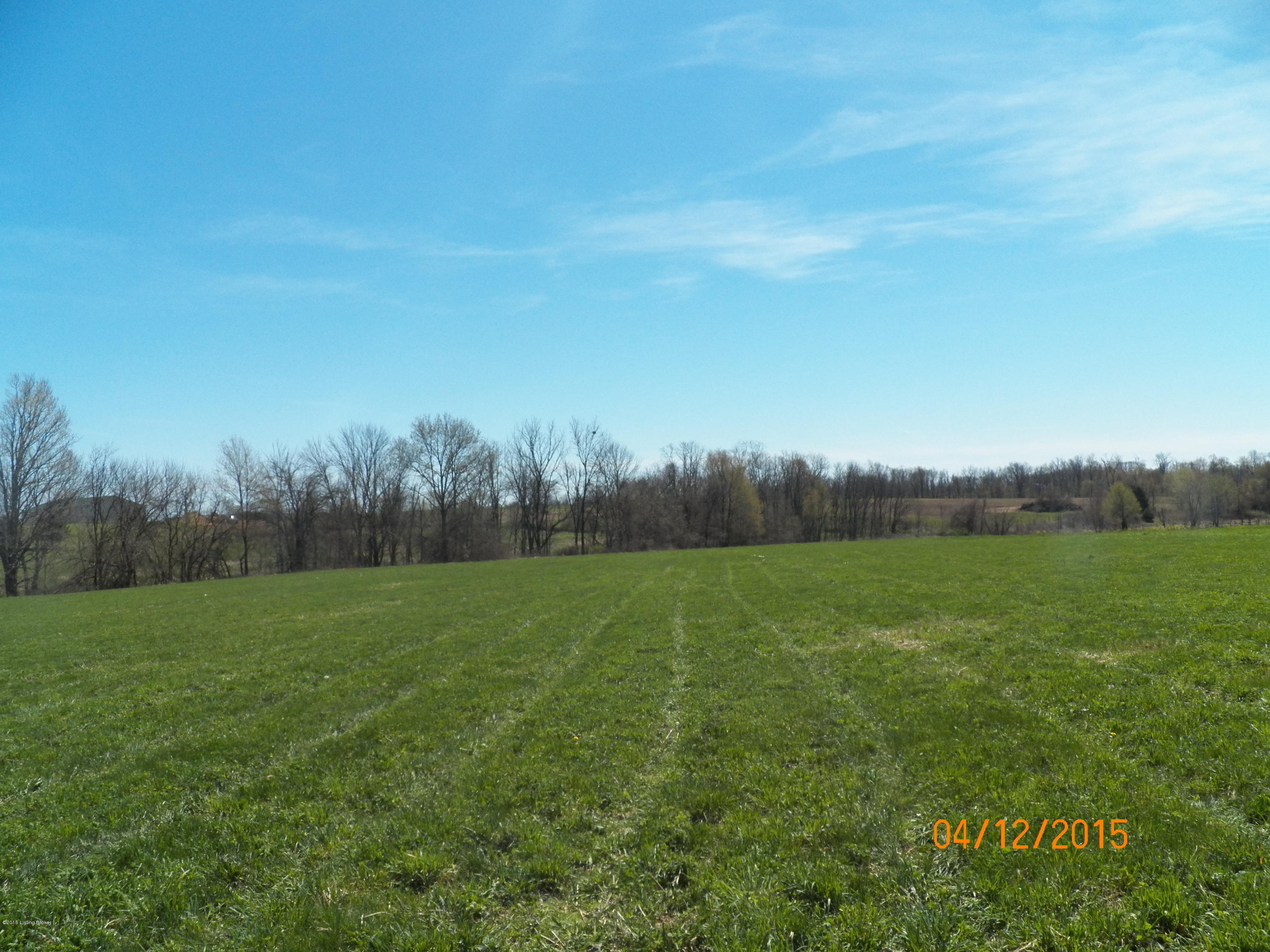 3 Vigo Road Bagdad, KY 40003 - Photo 1 of 7 101_0097