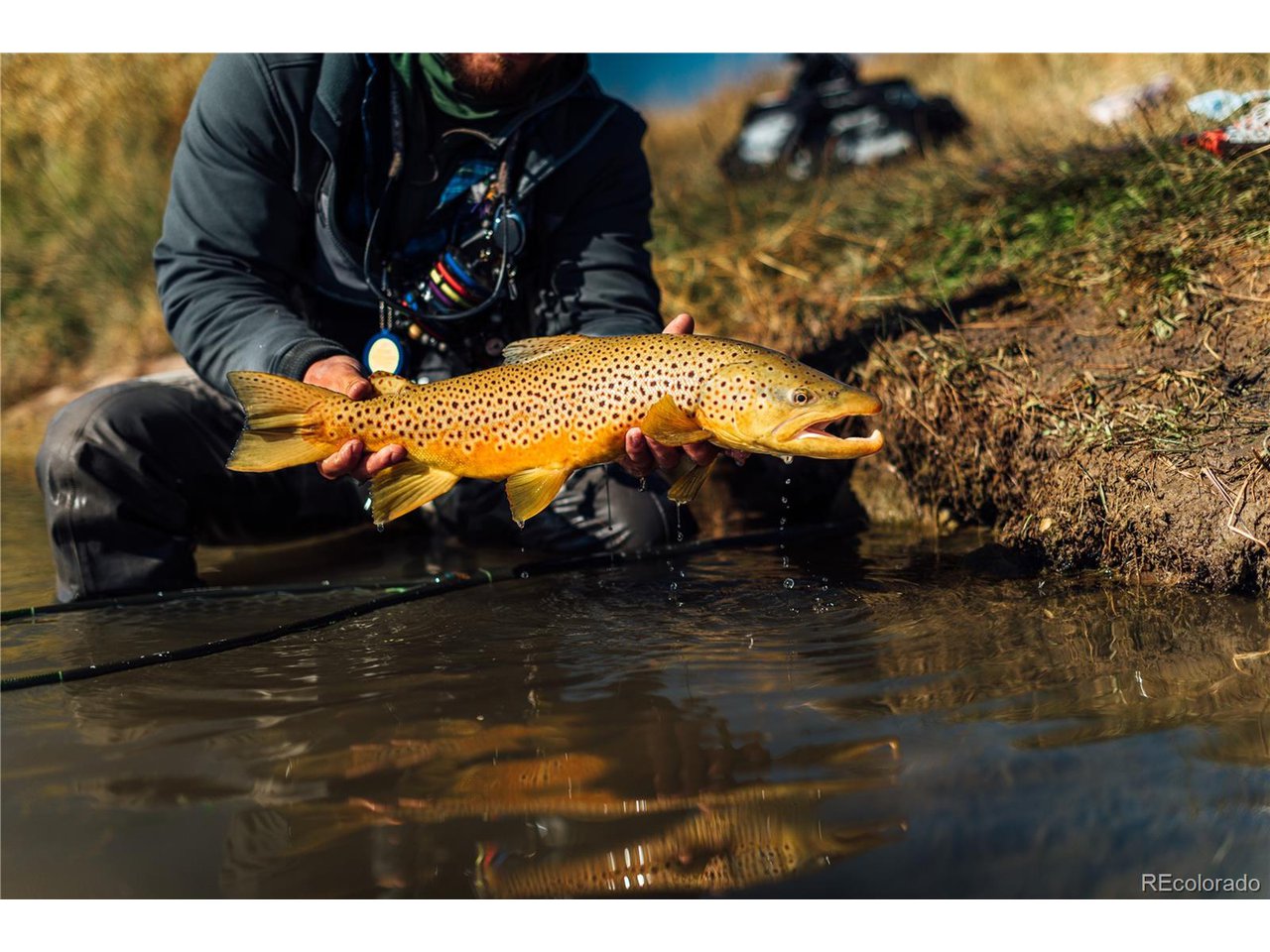 472 Redhill Road Fairplay, CO 80440 - Photo 26 of 37 S Platte Brown Trout