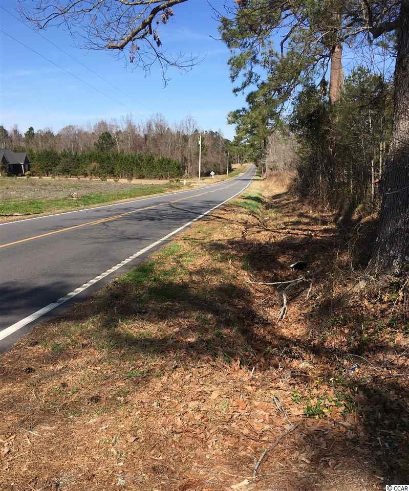 Lot 1 Dog Bluff Road Aynor, SC 29511 - Photo 1 of 12 Gallery Image 1