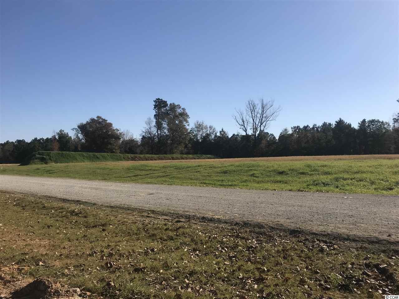 Lot 1 Dog Bluff Road Aynor, SC 29511 - Photo 7 of 12 Gallery Image 7