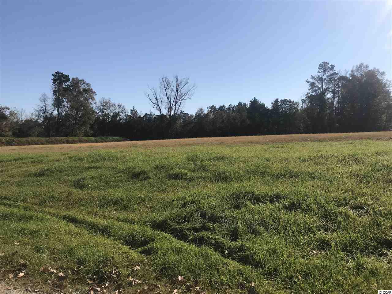 Lot 1 Dog Bluff Road Aynor, SC 29511 - Photo 8 of 12 Gallery Image 8
