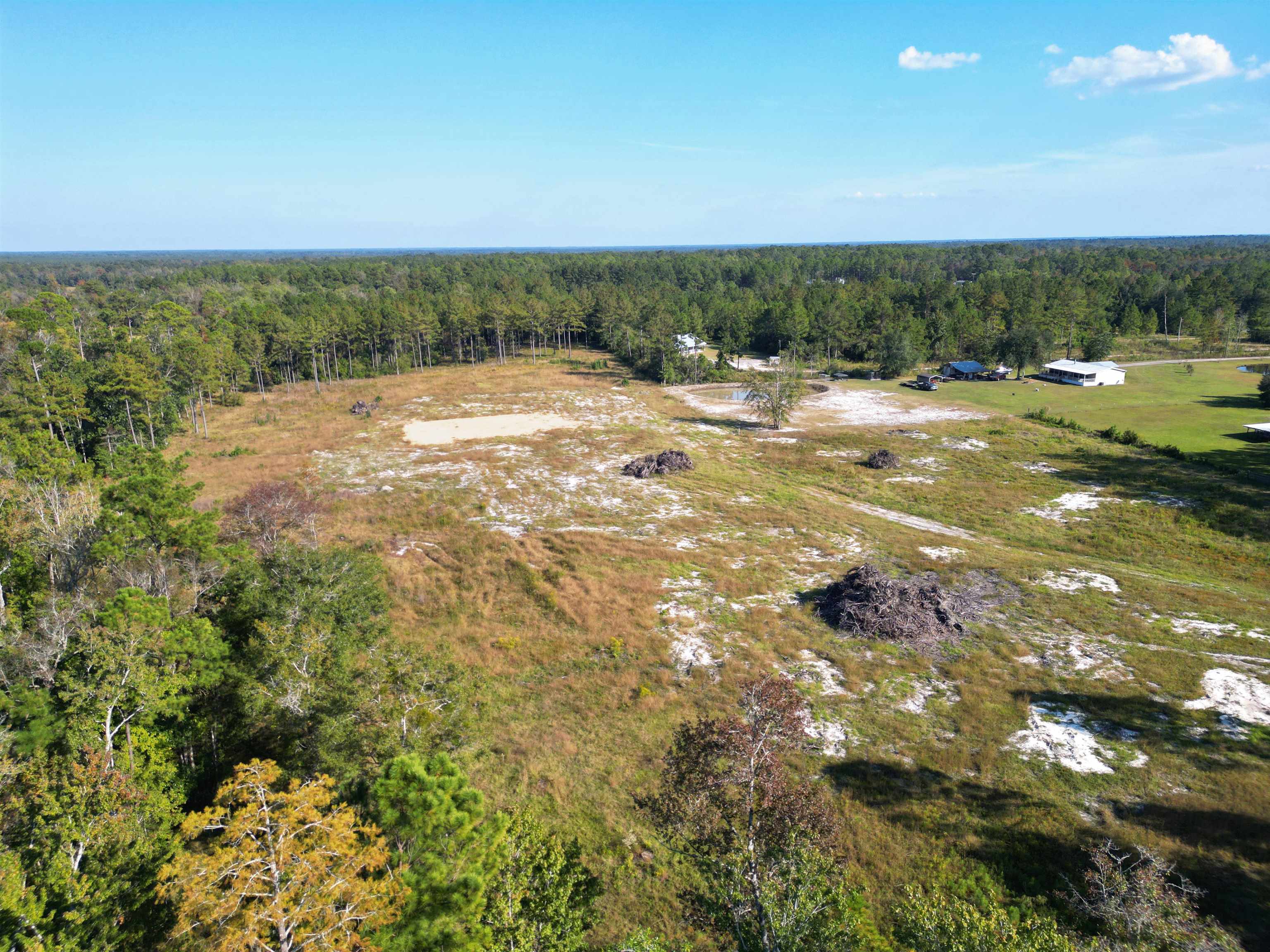 17752 Arnold Kelly Road Hosford, FL 32334 - Photo 5 of 12