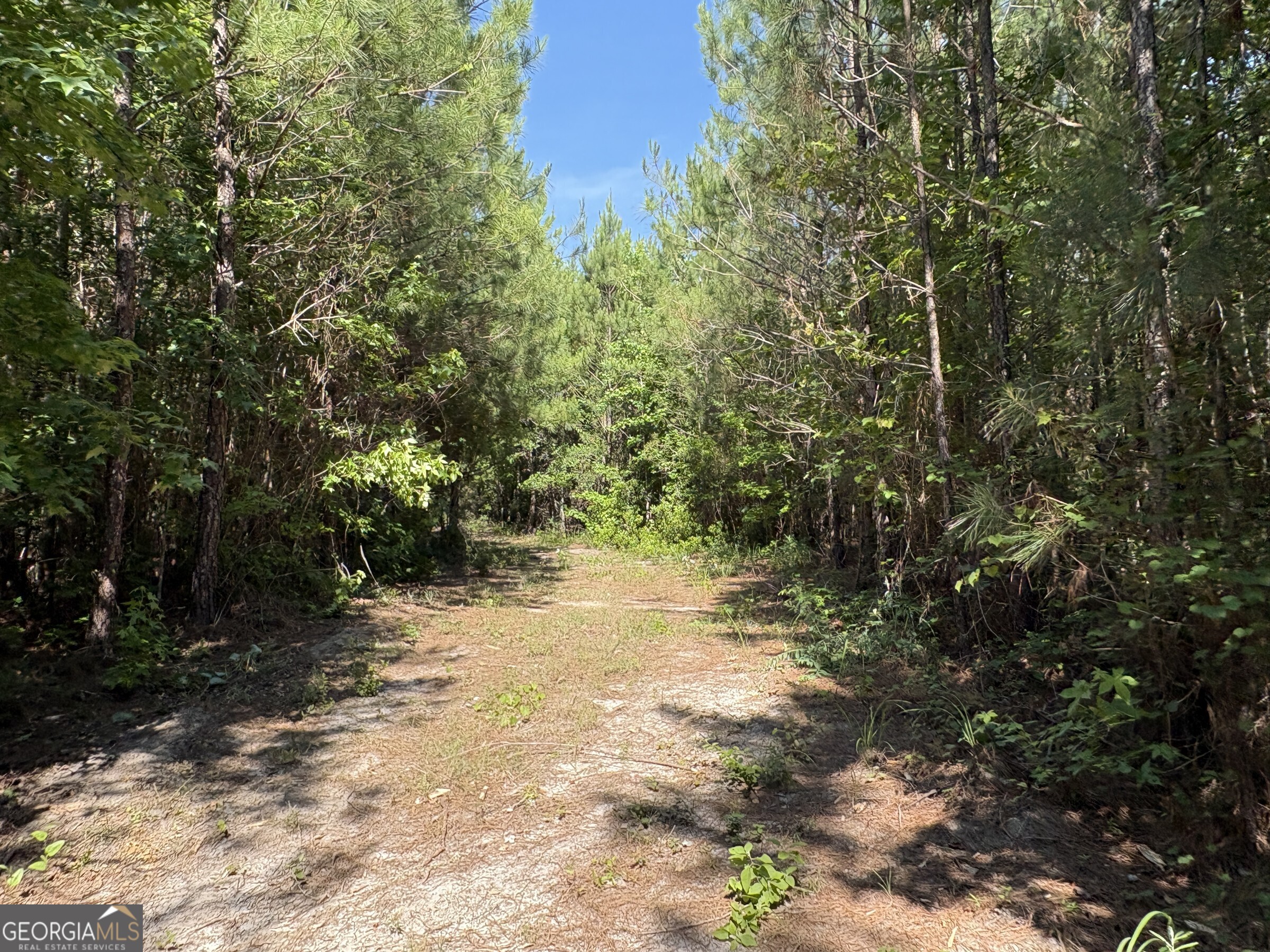 L9 North Indian Trail Road Sandersville, GA 31082 - Photo 9 of 19