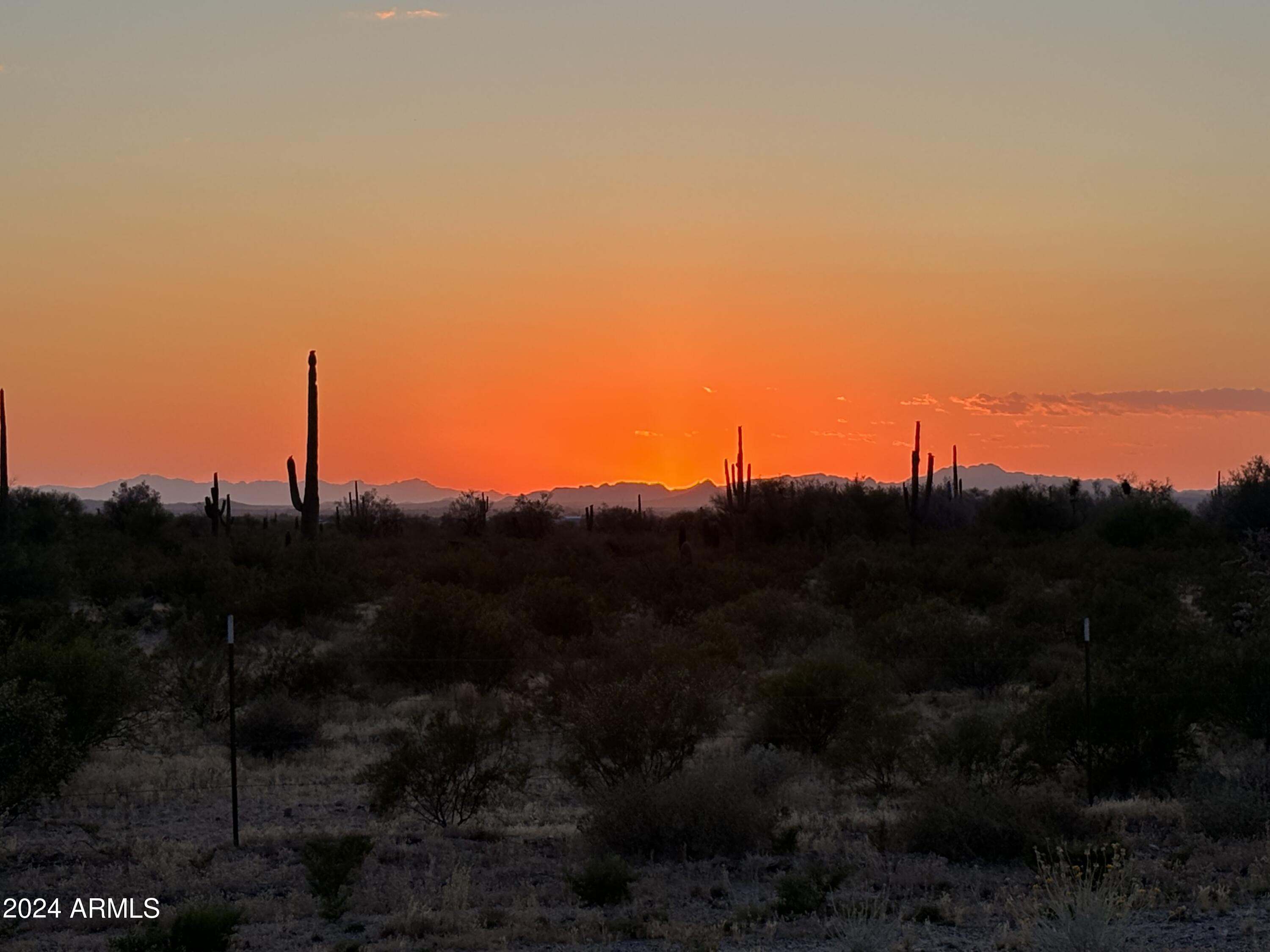21235 East LD Ranch Road Florence, AZ 85132 - Photo 49 of 49 IMG_0873