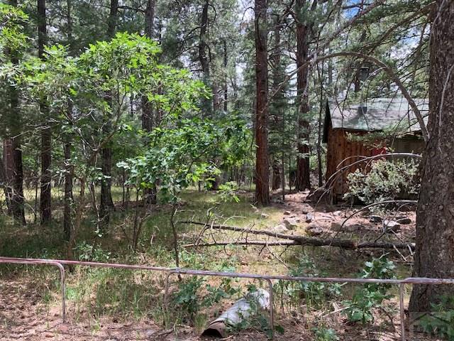 Tbd Green Lane Rye, CO 81069 - Photo 2 of 3