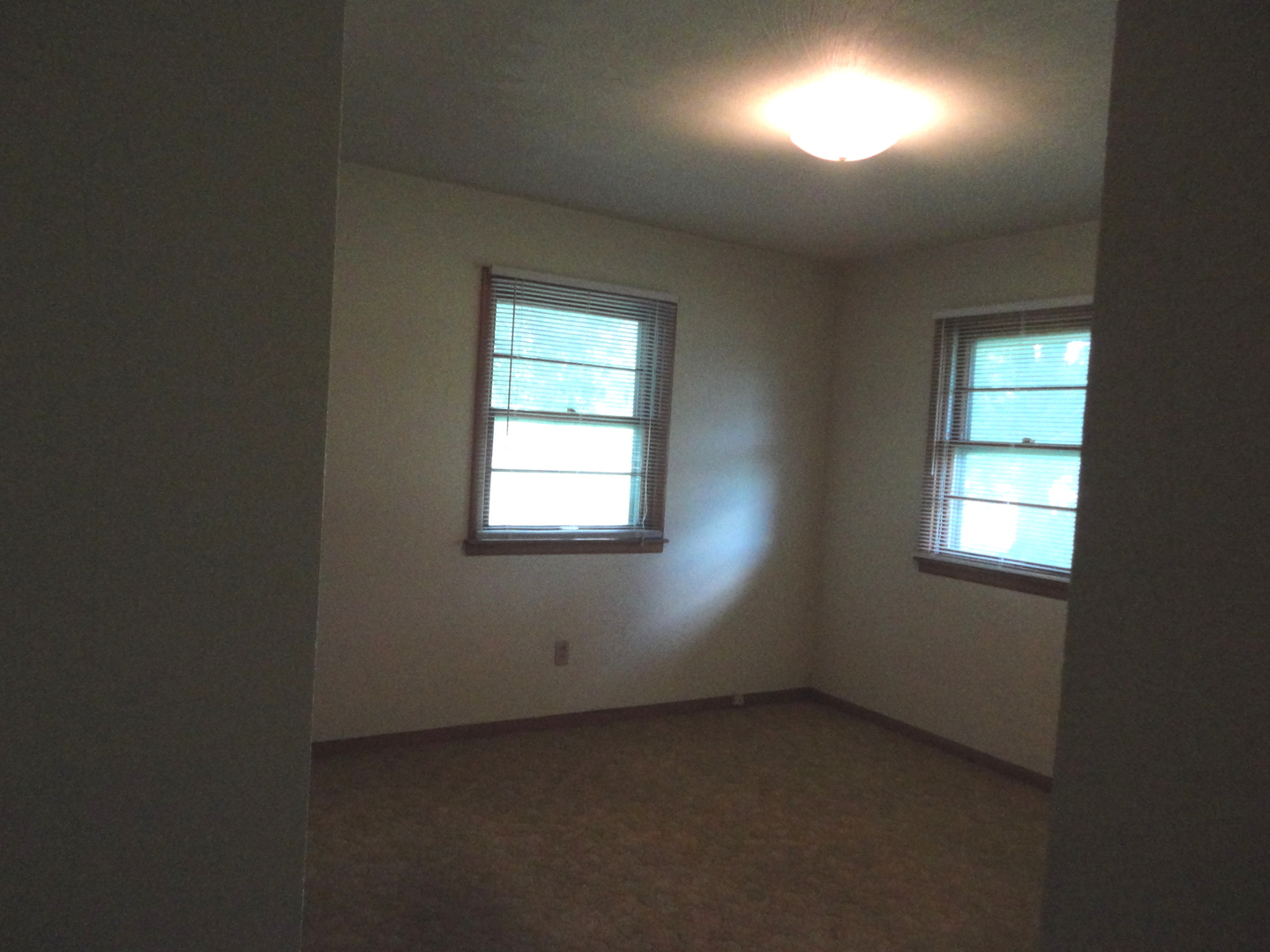 360 South Washington Street Braidwood, IL 60408 - Photo 17 of 18