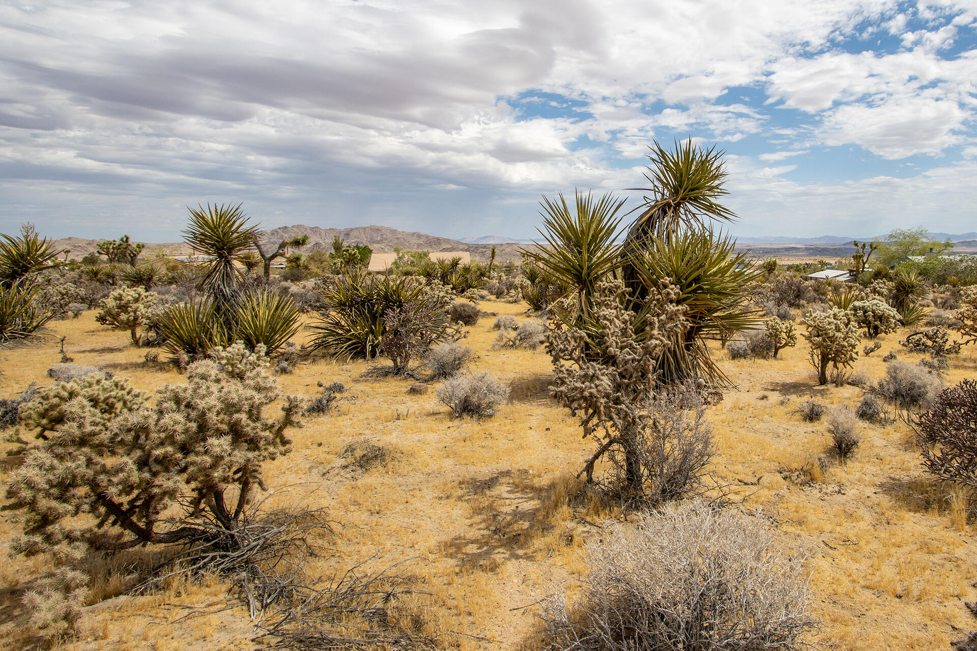 207 Onaga Trail Joshua Tree, CA 92252 - Photo 18 of 27 IMG_1883