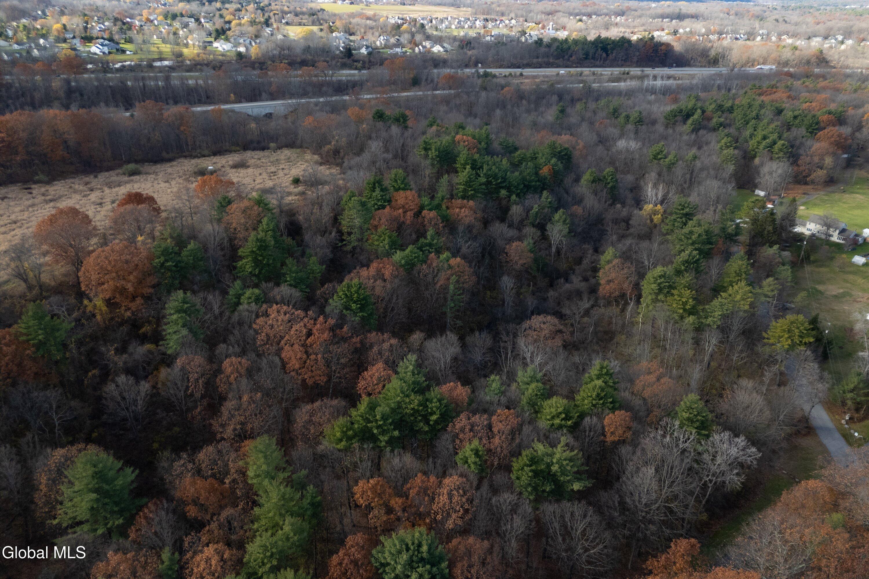 L4.011 Morris Road Round Lake, NY 12151 - Photo 7 of 9 32.9 acres