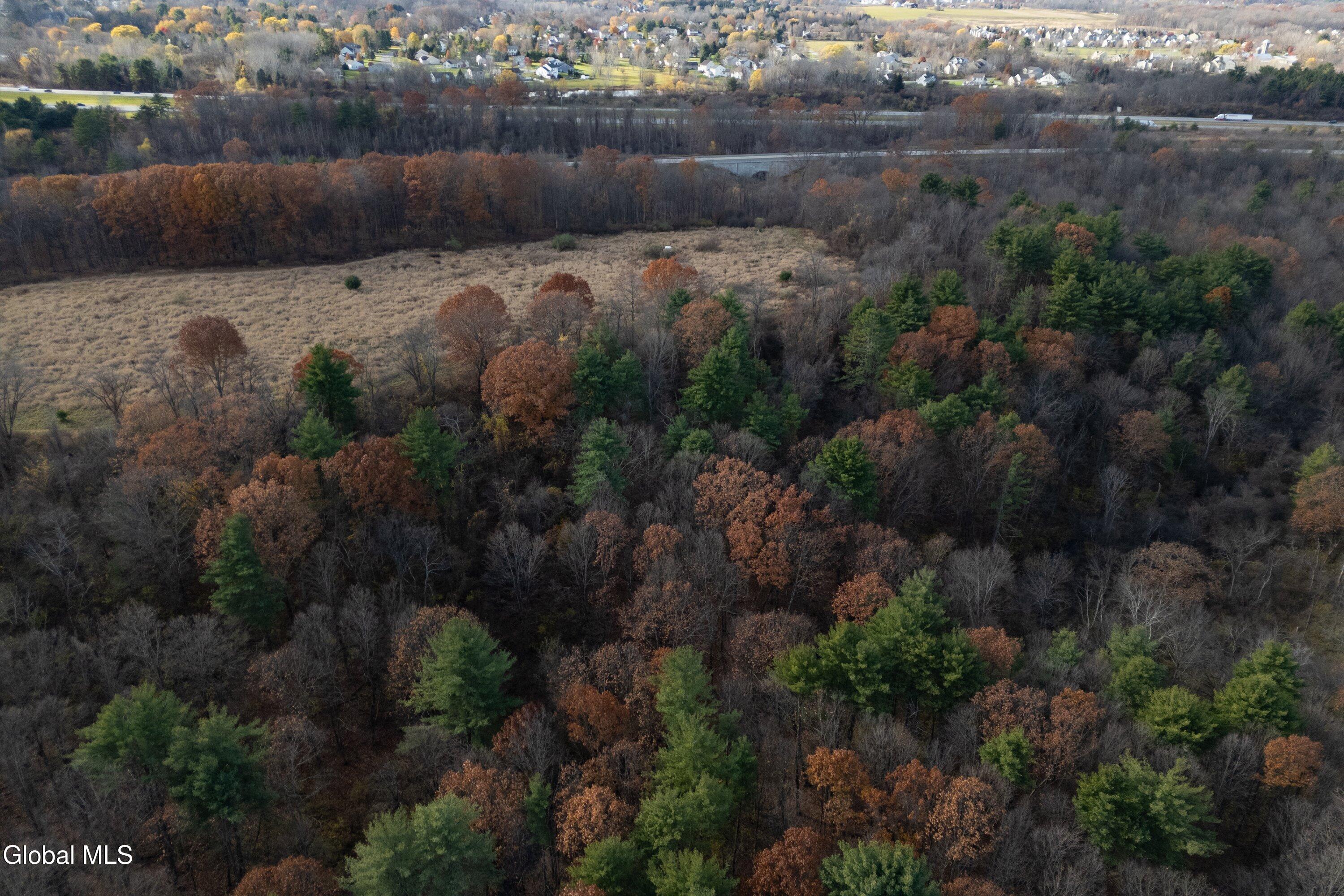 L4.011 Morris Road Round Lake, NY 12151 - Photo 8 of 9 32.9 acres
