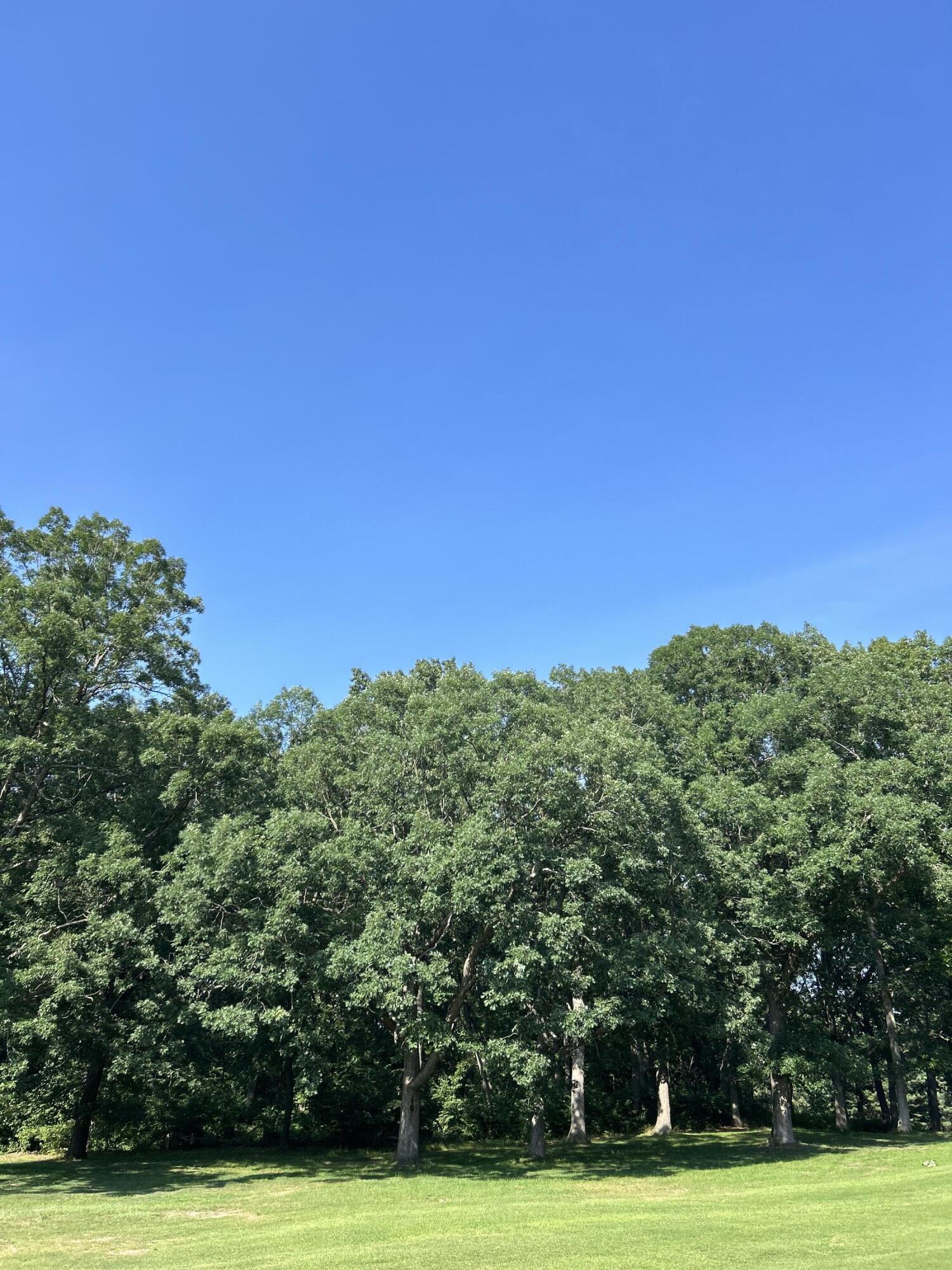 1 Lilac Lane New Buffalo, MI 49117 - Photo 1 of 9 1500x2000