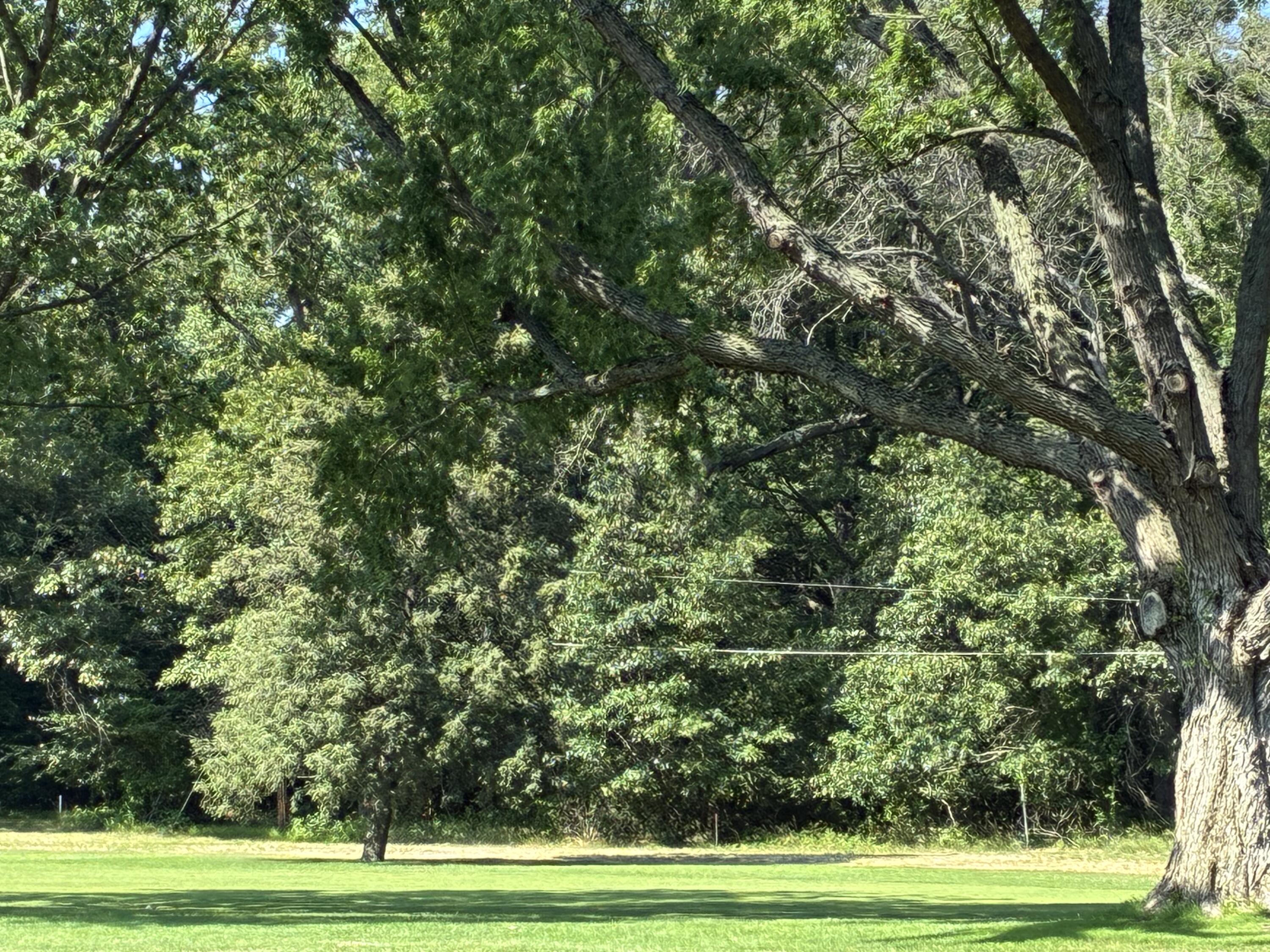 1 Lilac Lane New Buffalo, MI 49117 - Photo 6 of 9 3000x2250