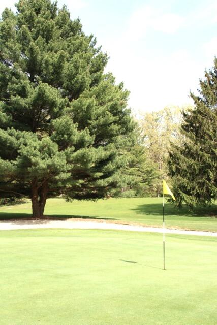 1 Lilac Lane New Buffalo, MI 49117 - Photo 7 of 9 427x640