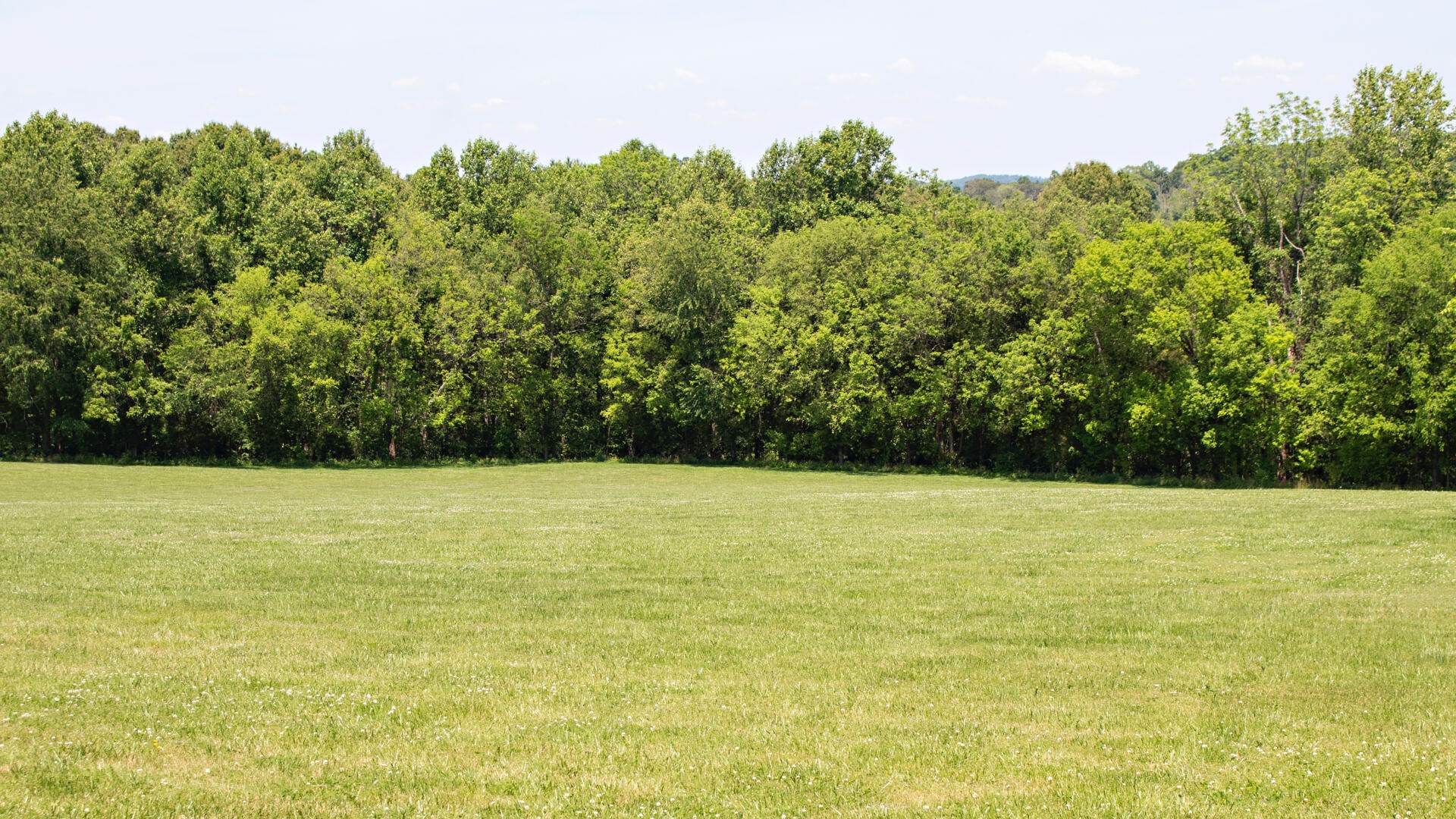 0 Hudson Road Mascot, TN 37806 - Photo 1 of 4 Gallery Image 1