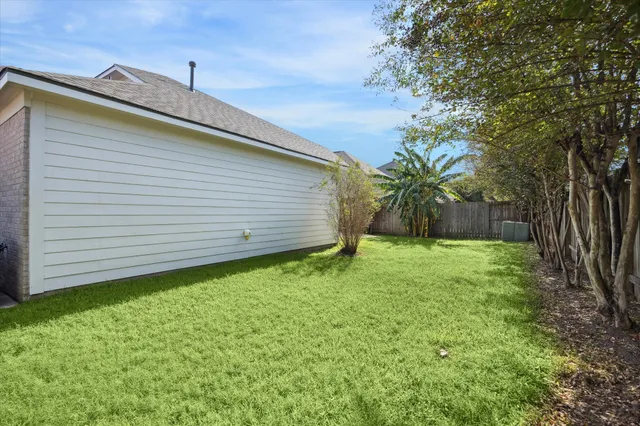 a view of a backyard with plants and large tree