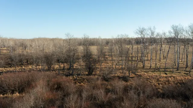 $125,000 | 64 Staples Mn 56479, Staples, MN 56479