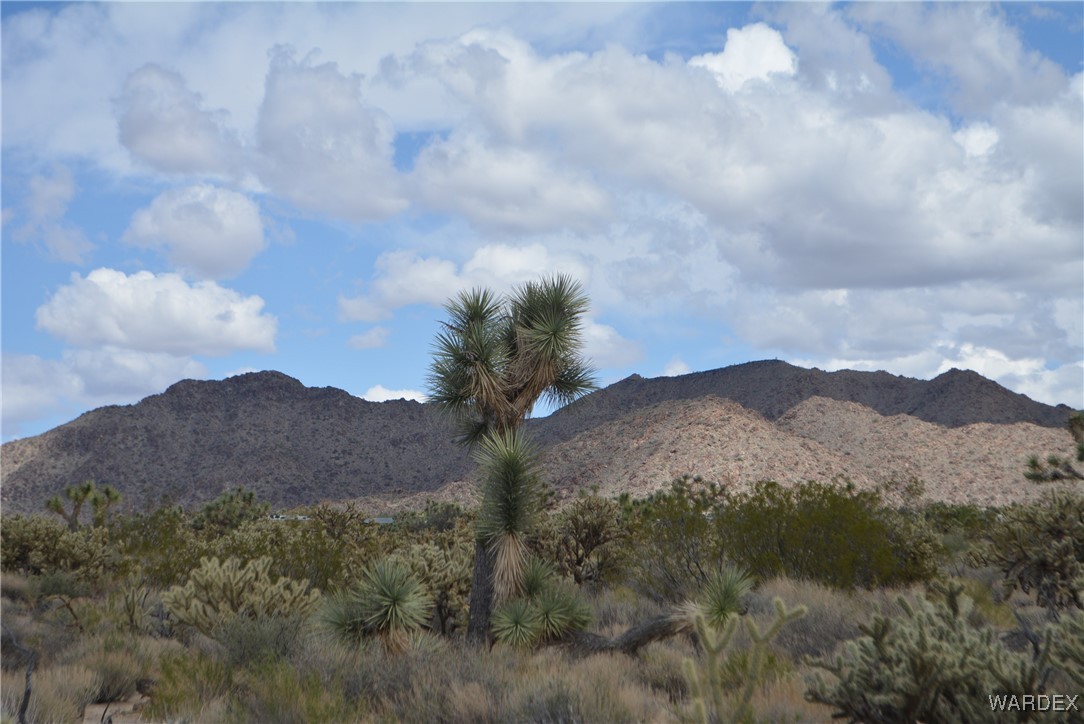 11900 Alan Road Yucca, AZ 86438 - Photo 74 of 99 Gallery Image 74