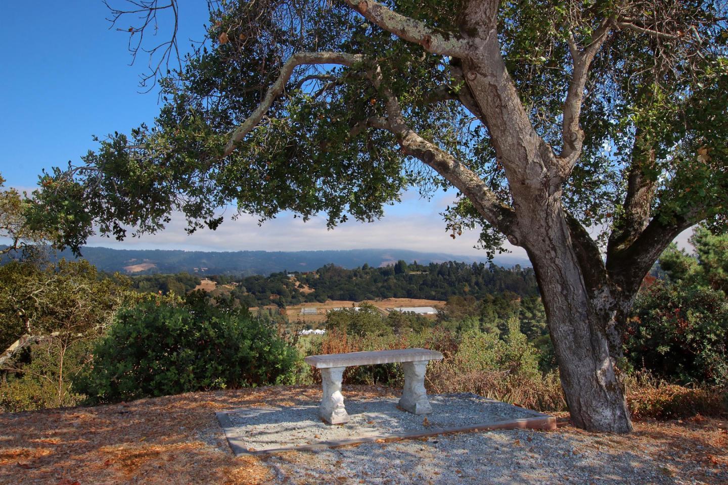 270 Hames Road, Unit 38 Corralitos, CA 95076 - Photo 24 of 35 a view of a yard with a tree
