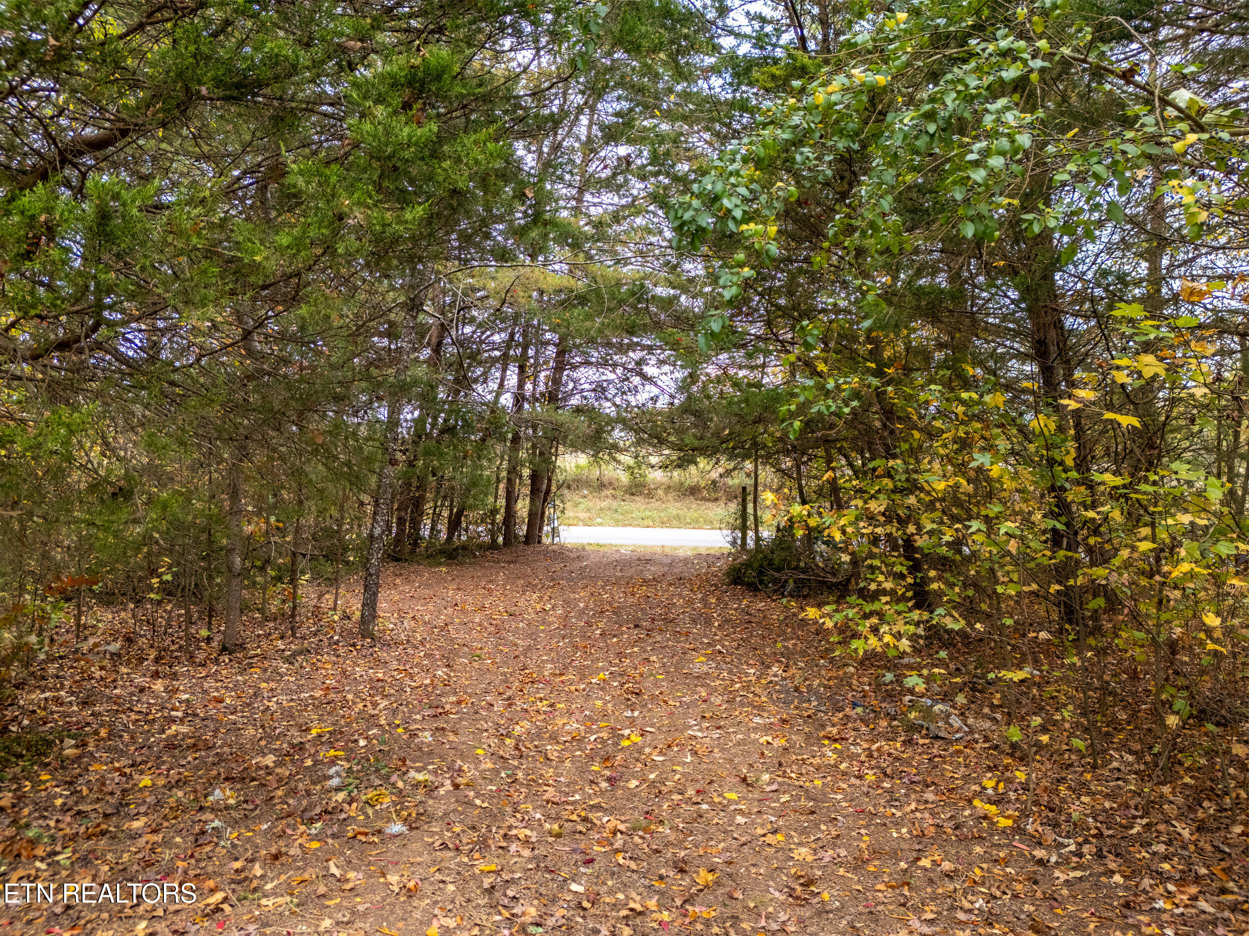 8-acres Hutchings College Road Sparta, TN 38583 - Photo 1 of 17 mls-8