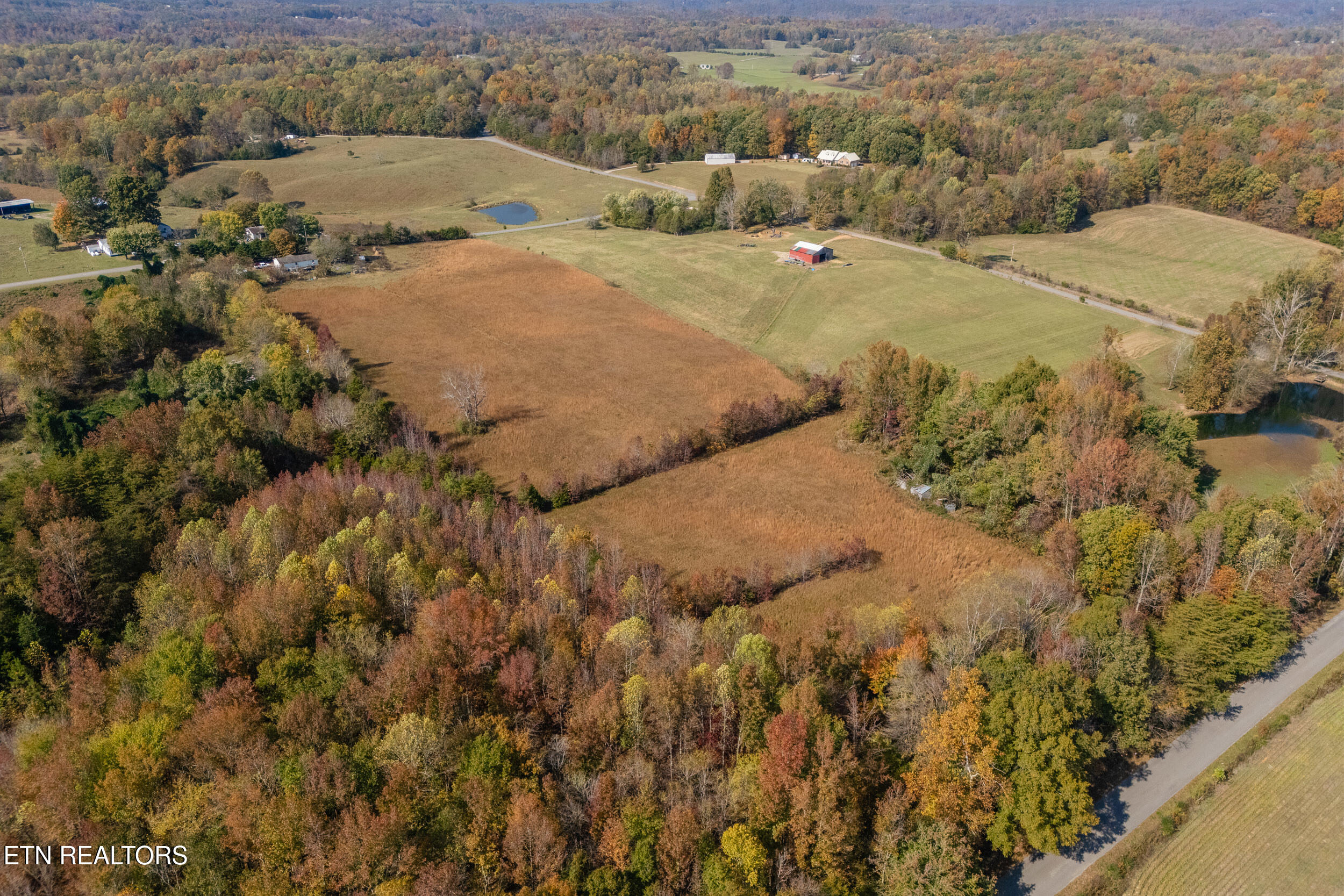 8-acres Hutchings College Road Sparta, TN 38583 - Photo 12 of 17 mls-2