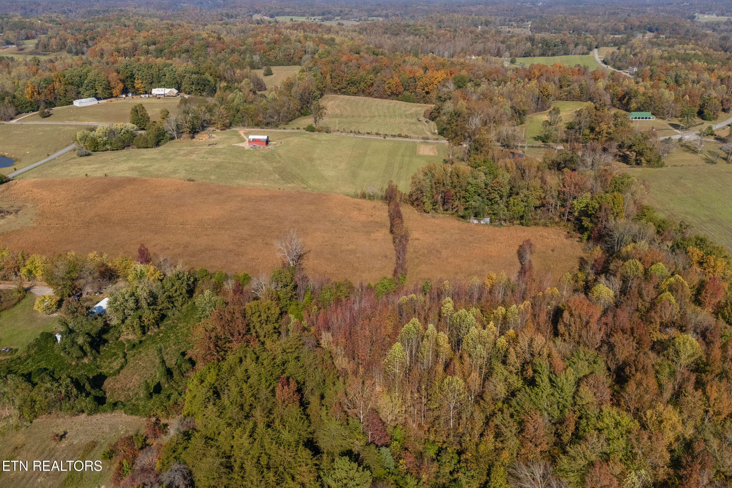 8-acres Hutchings College Road Sparta, TN 38583 - Photo 13 of 17 mls-3