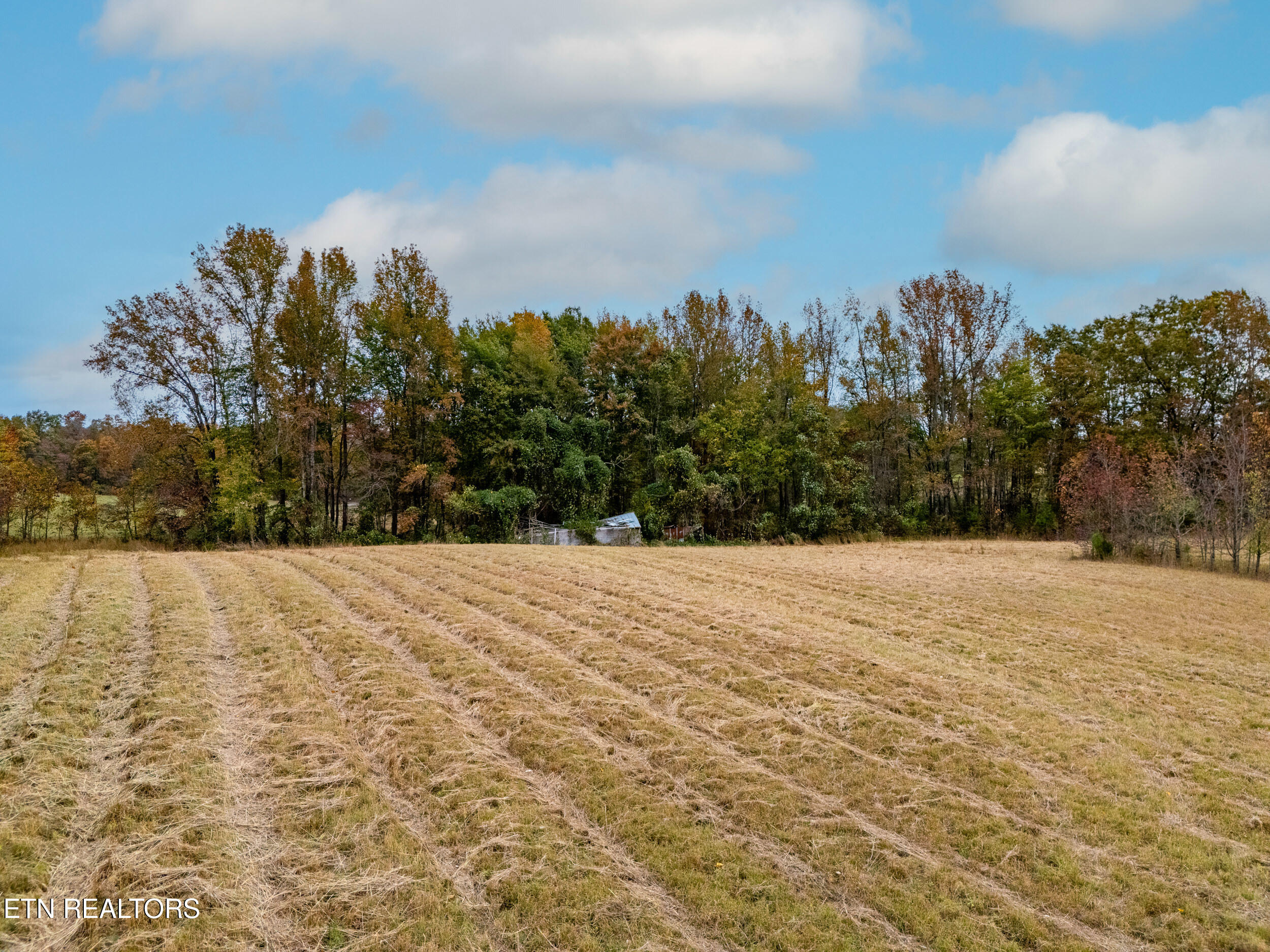 8-acres Hutchings College Road Sparta, TN 38583 - Photo 3 of 17 mls-2