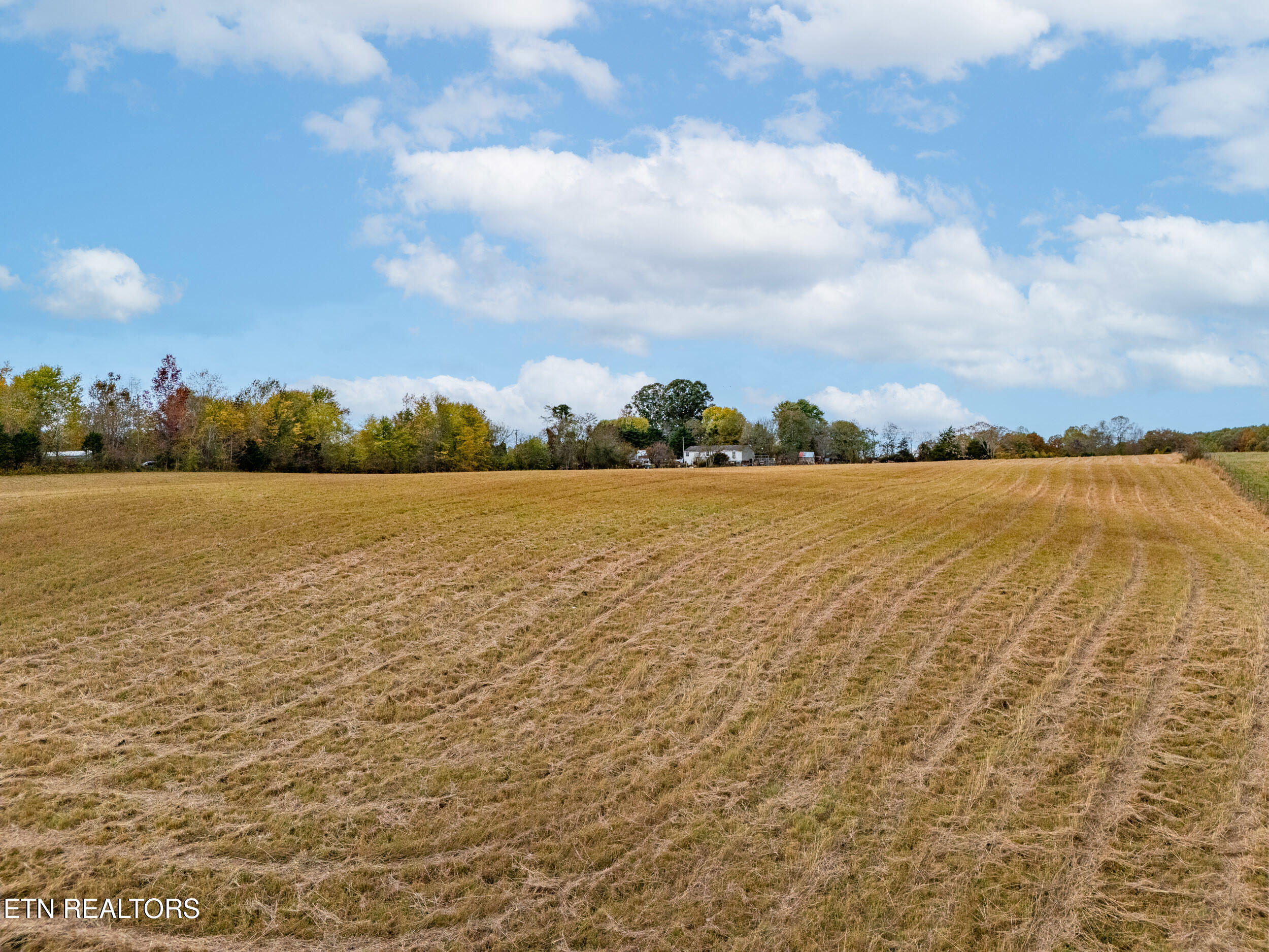 8-acres Hutchings College Road Sparta, TN 38583 - Photo 5 of 17 mls-4
