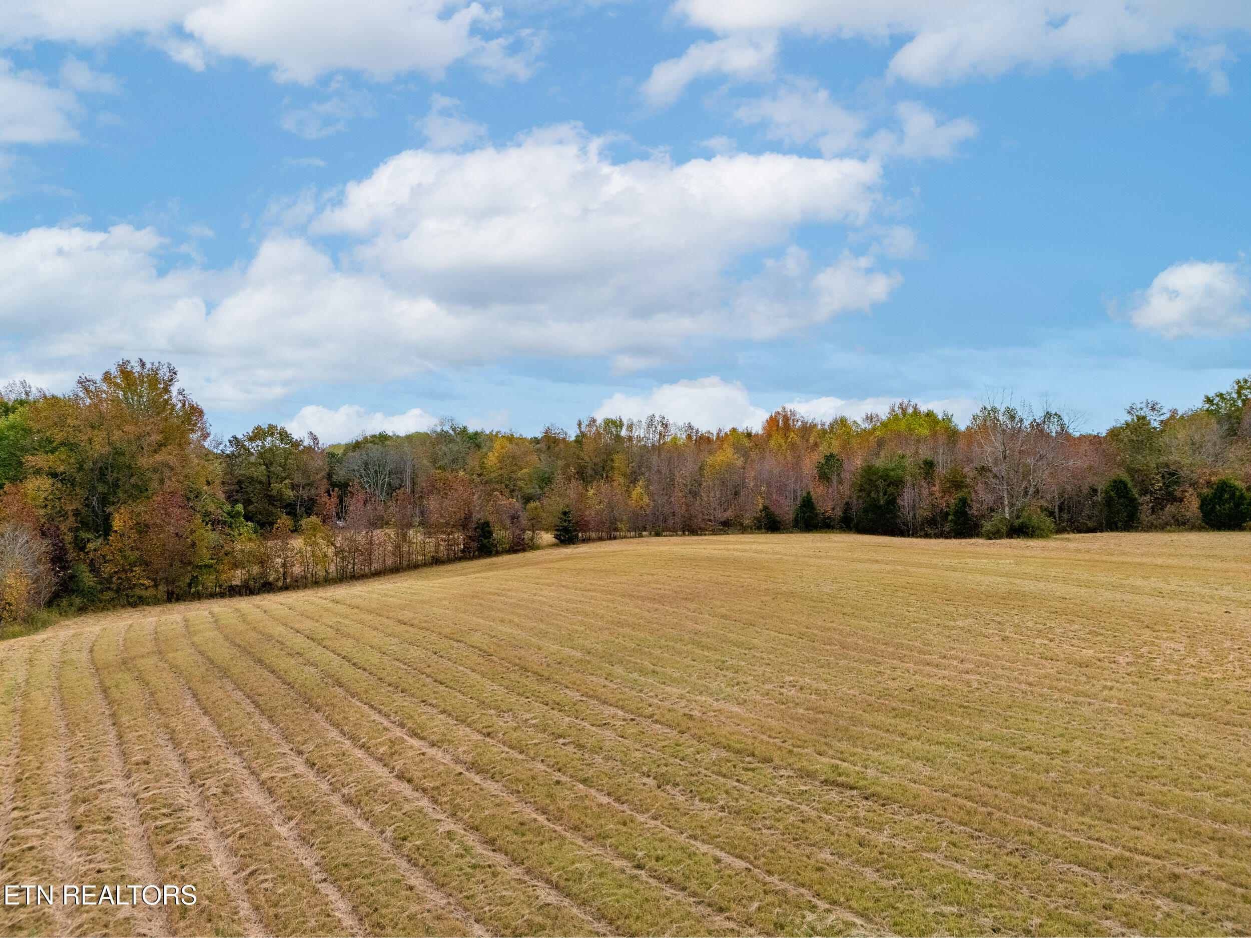 8-acres Hutchings College Road Sparta, TN 38583 - Photo 6 of 17 mls-5
