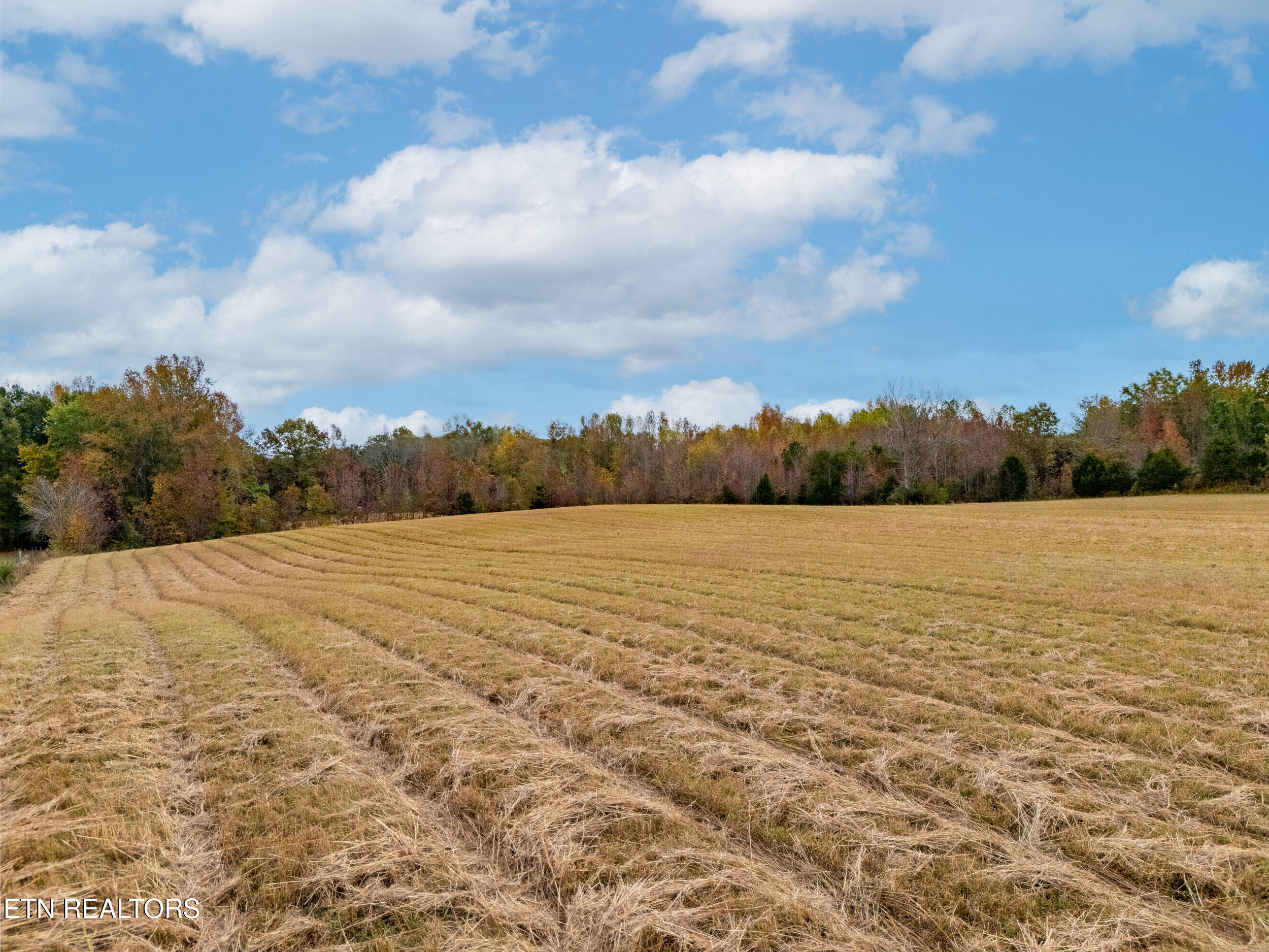 8-acres Hutchings College Road Sparta, TN 38583 - Photo 7 of 17 mls-6