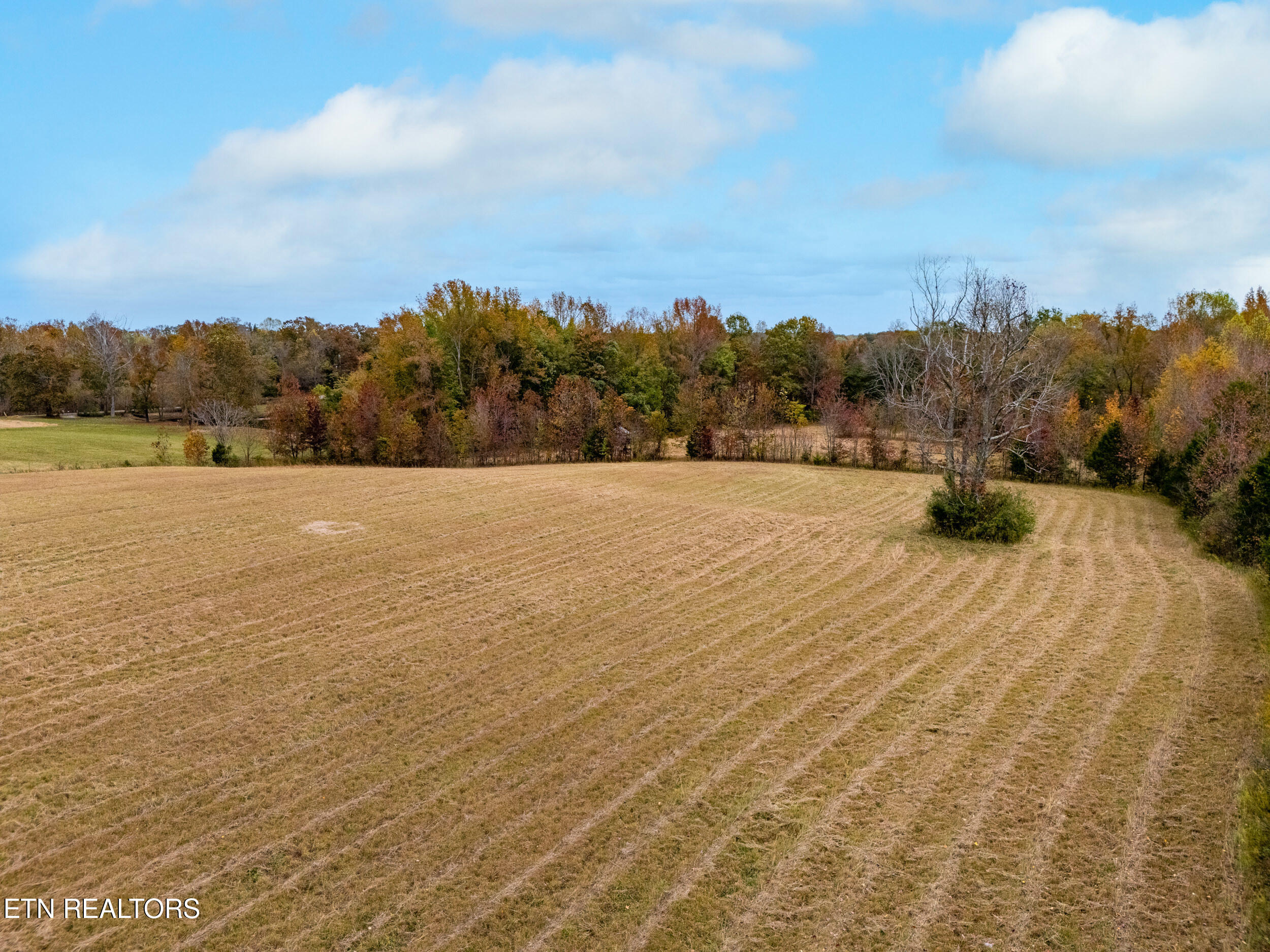 8-acres Hutchings College Road Sparta, TN 38583 - Photo 8 of 17 mls-7