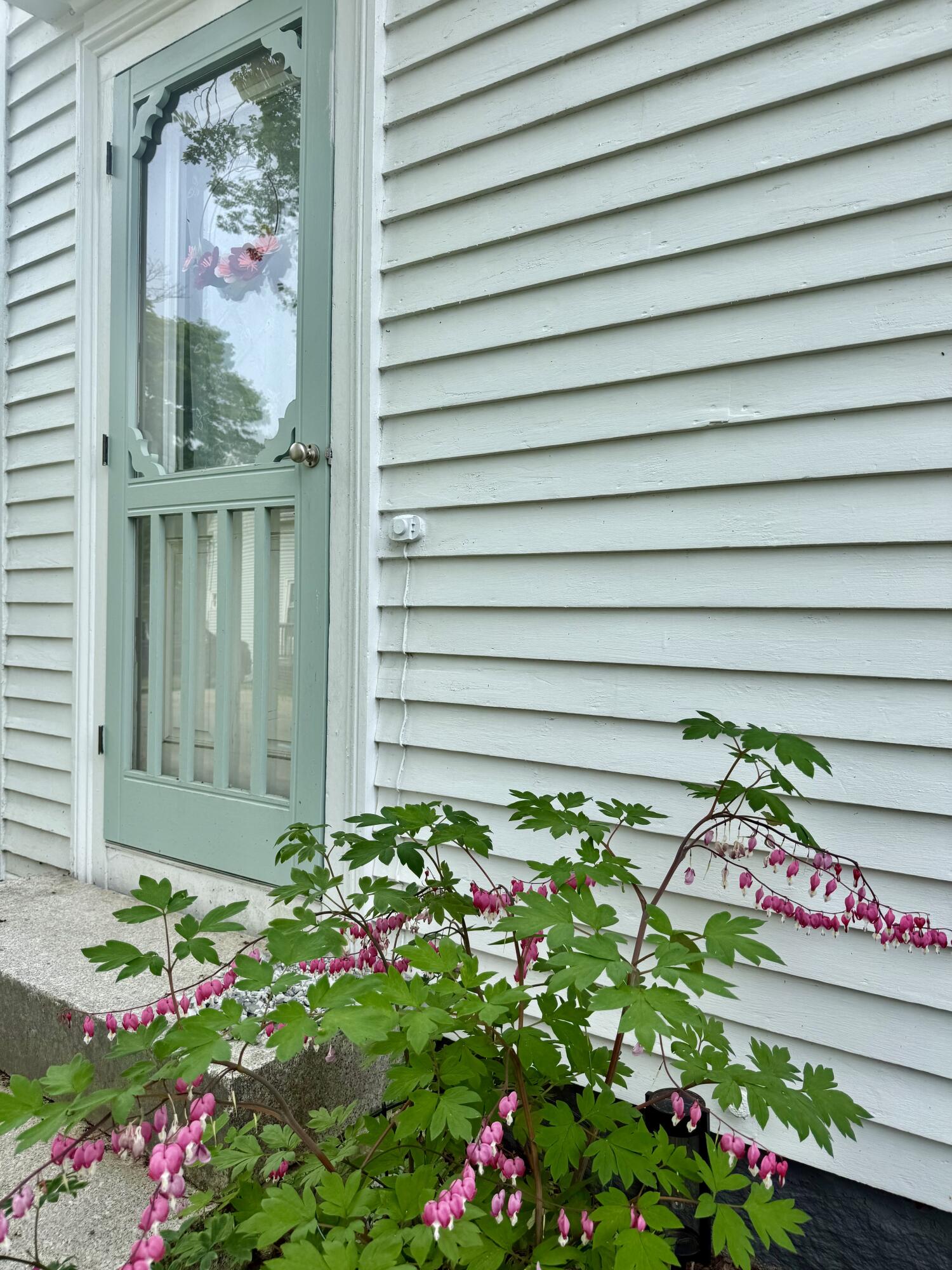 8 Pleasant Street Vinalhaven, ME 04863 - Photo 29 of 36 IMG_8110