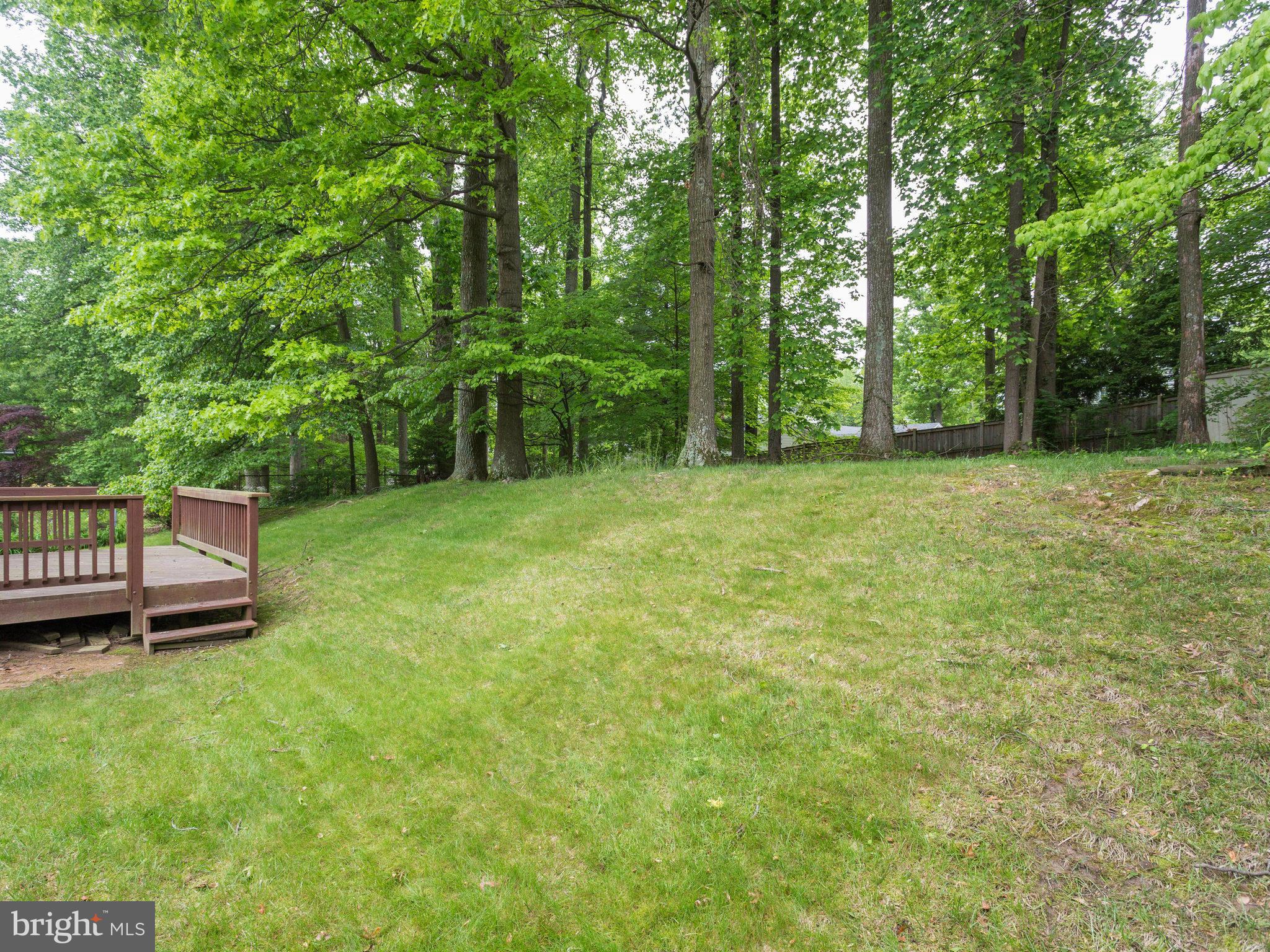 8207 Old Oaks Drive Springfield, VA 22152 - Photo 26 of 30 a view of a yard with a wooden fence