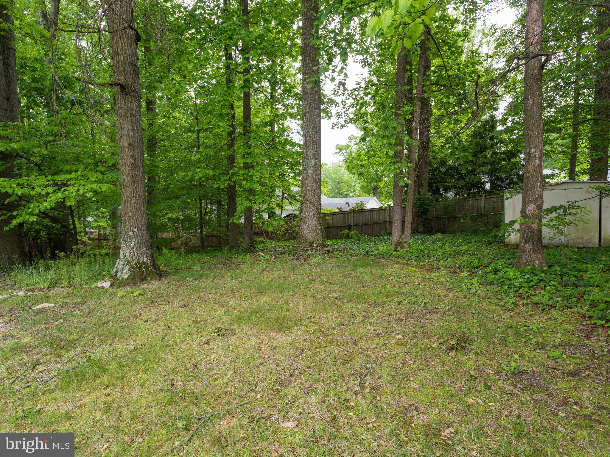 8207 Old Oaks Drive Springfield, VA 22152 - Photo 27 of 30 a view of a backyard with a trees