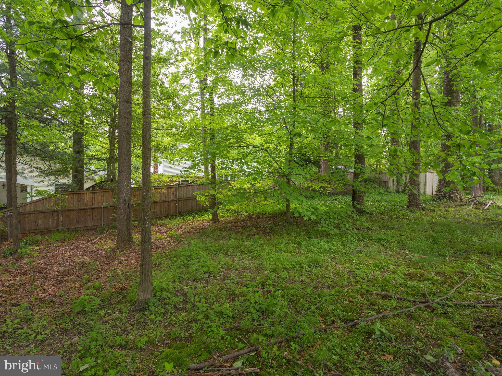 8207 Old Oaks Drive Springfield, VA 22152 - Photo 30 of 30 a backyard of a house with lots of green space