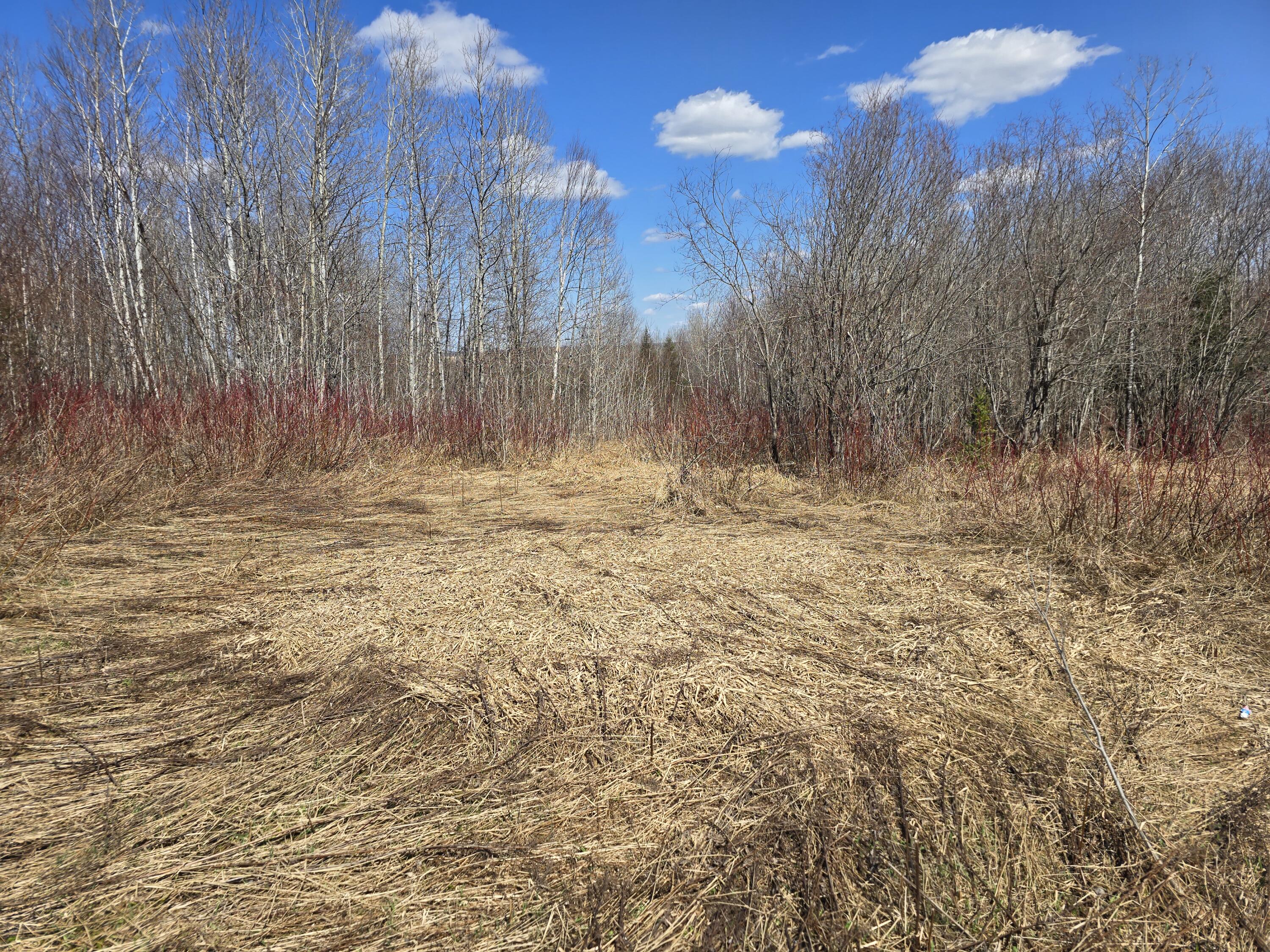 Lot 32 Alexander Road Van Buren, ME 04785 - Photo 2 of 25 20250428_145630