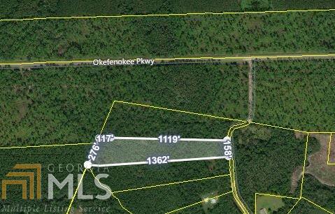 0 Doc Rider Road Folkston, GA 31537 - Photo 1 of 1 Gallery Image 1