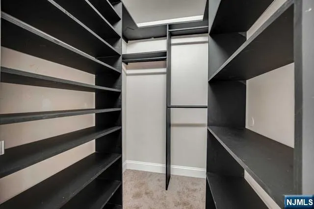 a view of walk in closet with empty racks