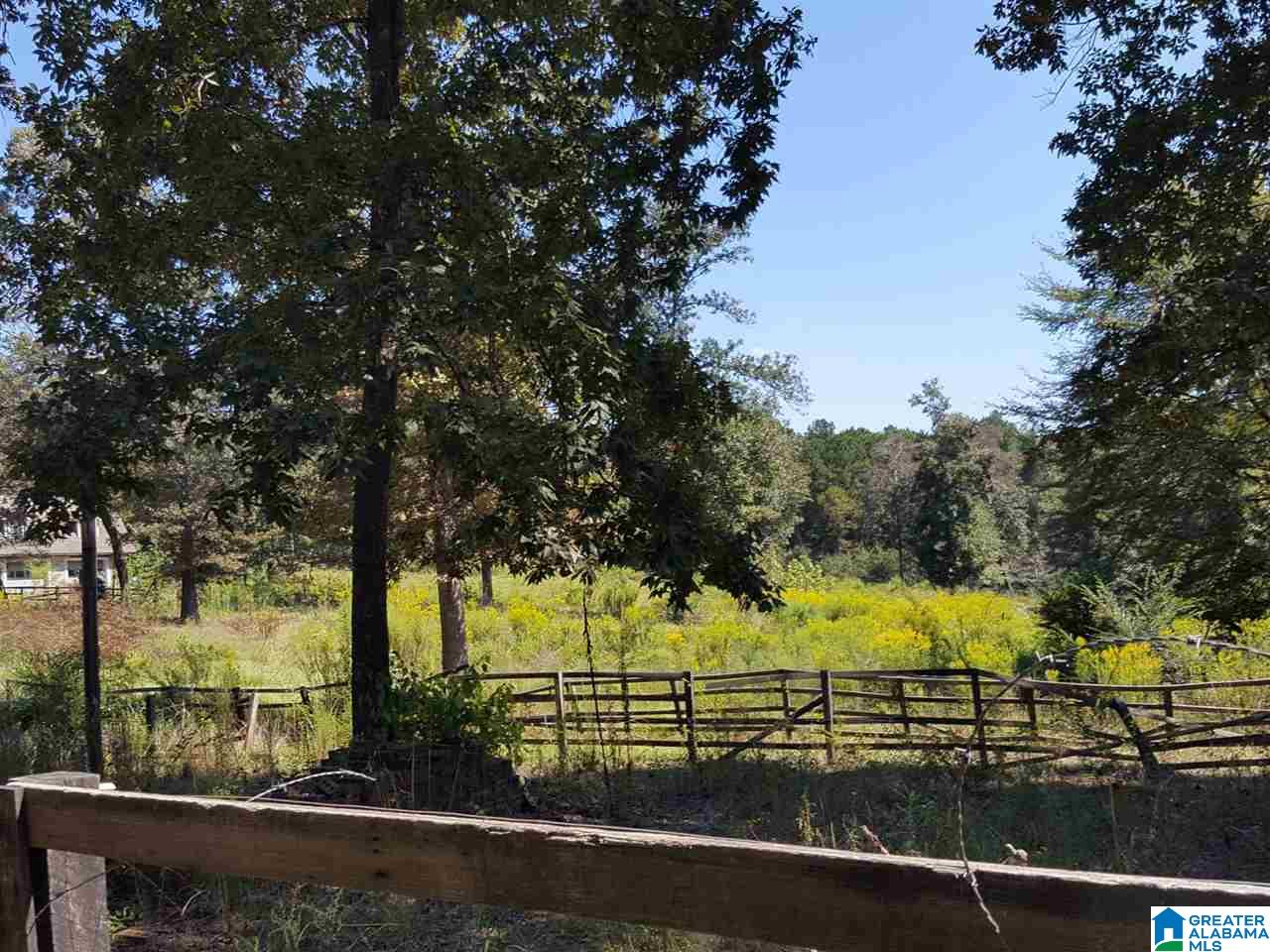 2291 Grey Hill Road West Blocton, AL 35184 - Photo 6 of 17